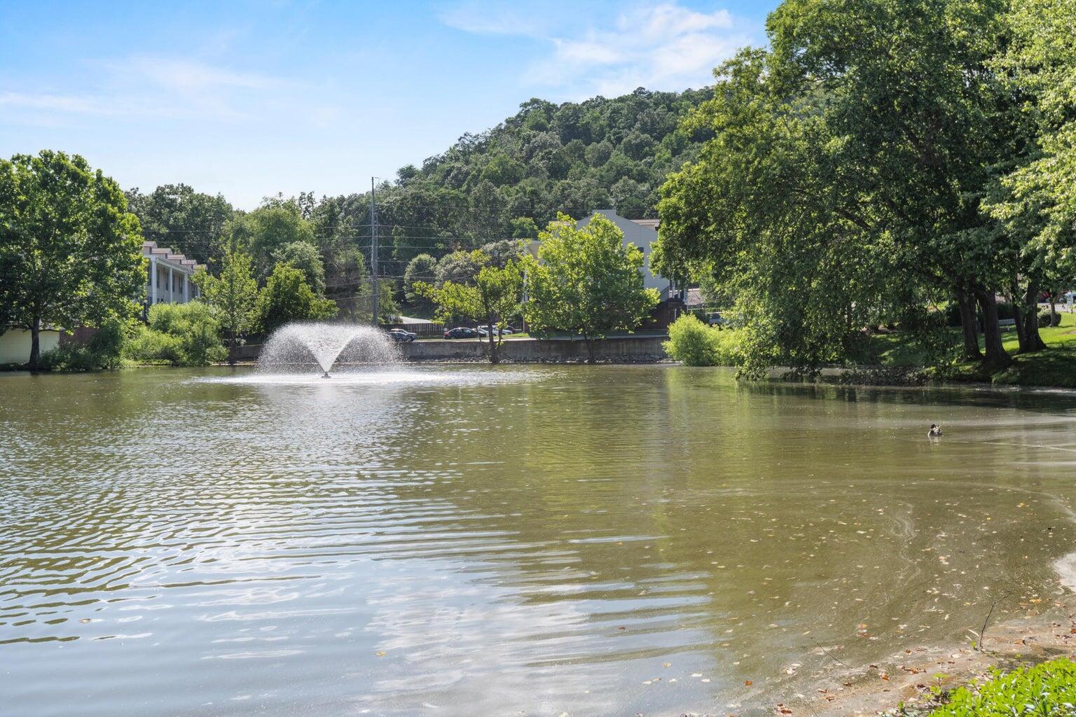 900 Mountain Creek Road, #E66