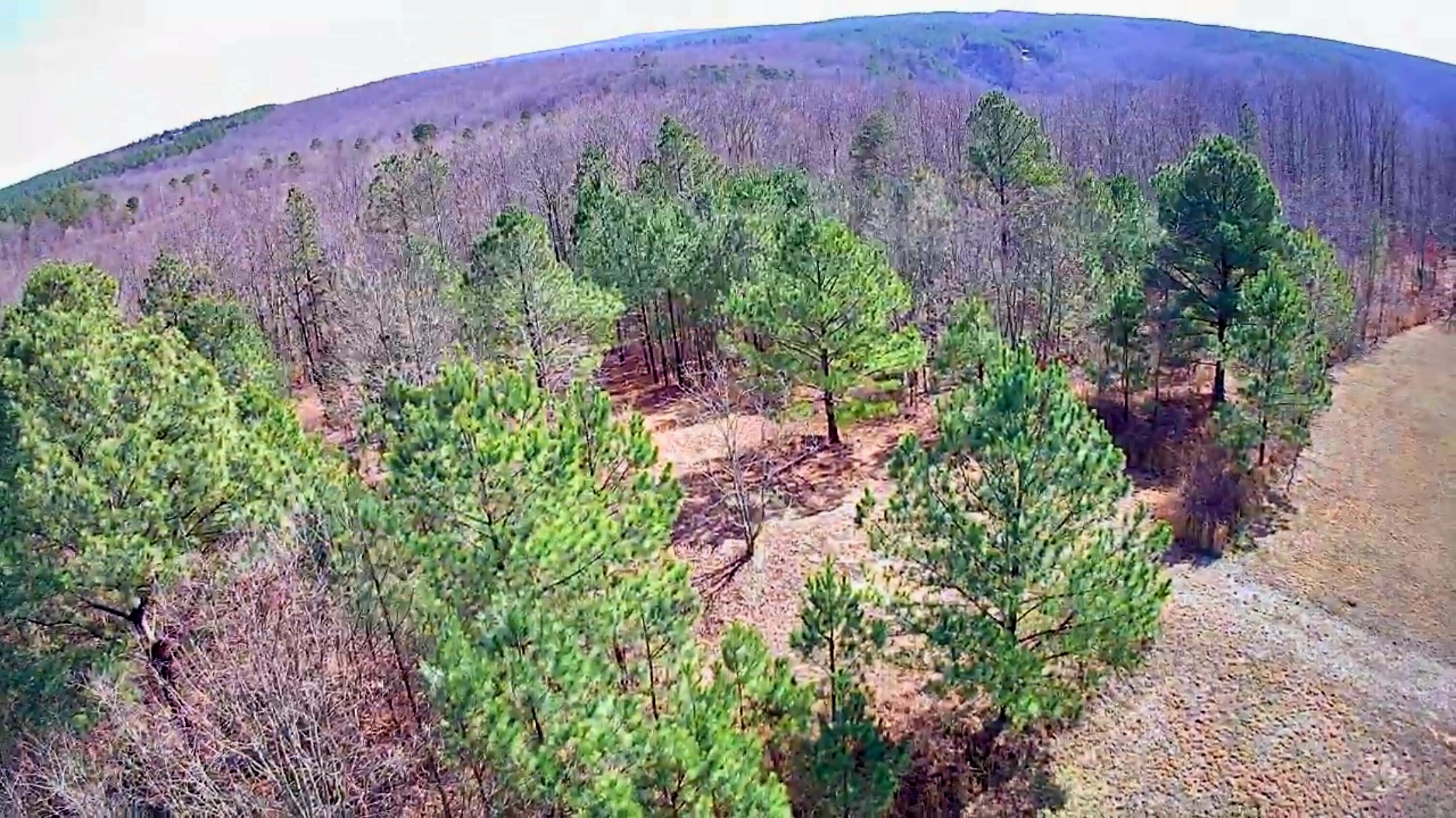 255 Falling Cliff Drive, 102
