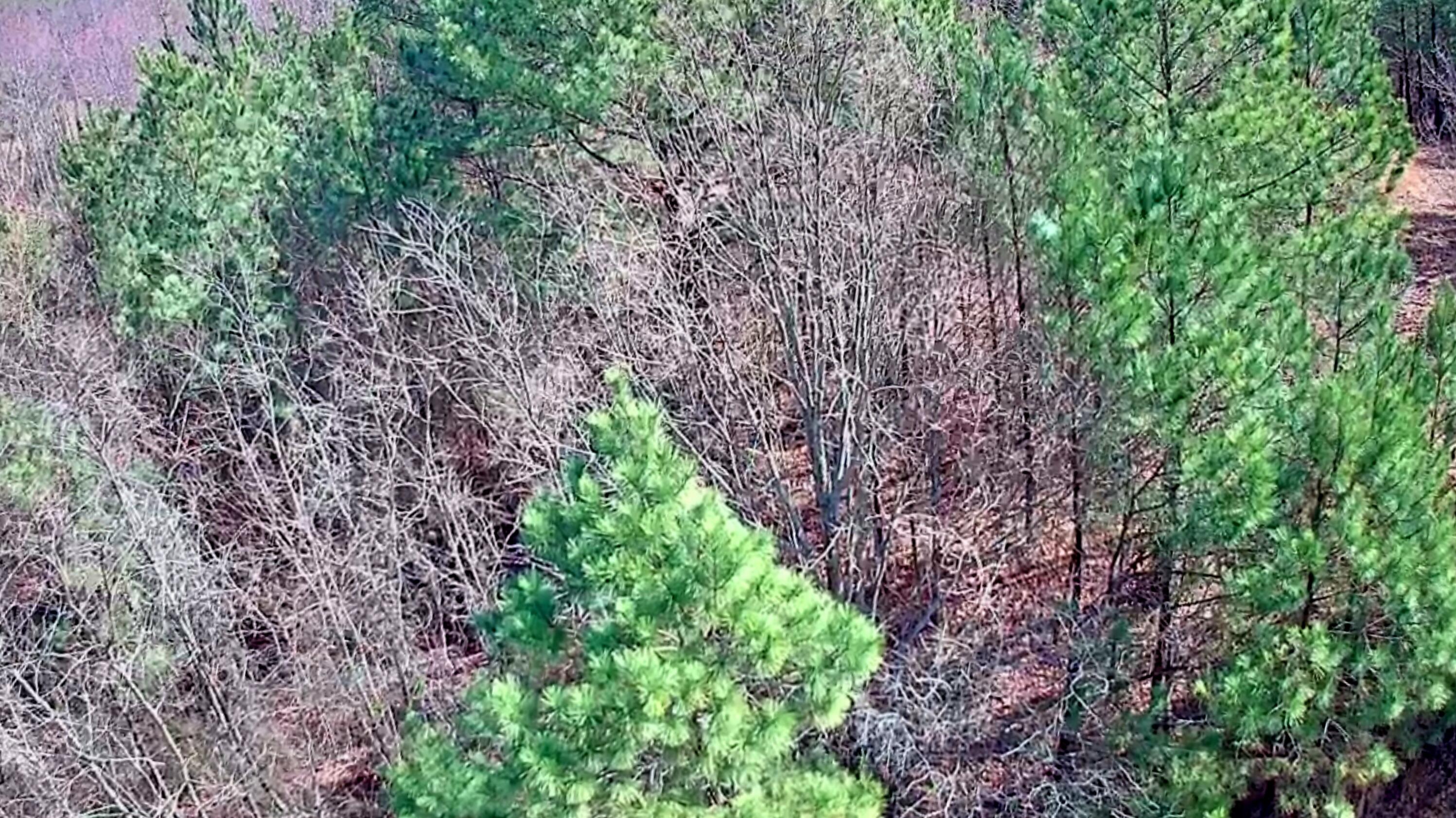 255 Falling Cliff Drive, 102
