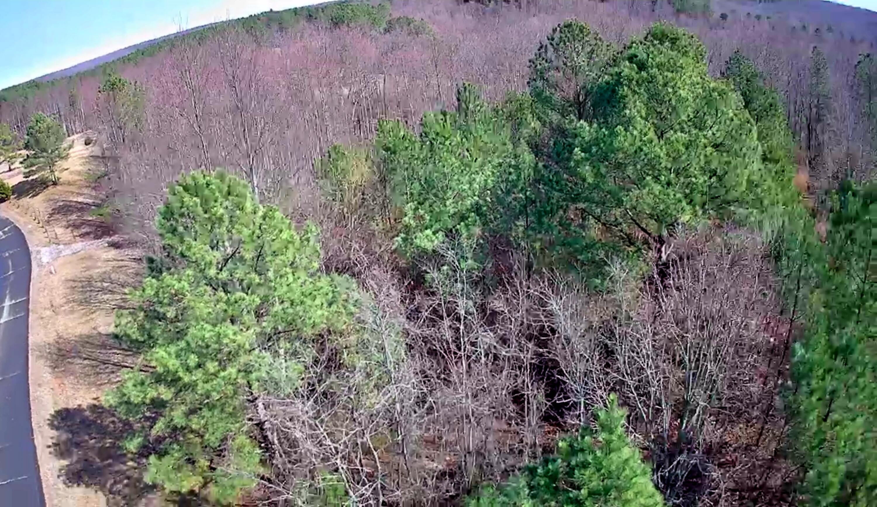 255 Falling Cliff Drive, 102