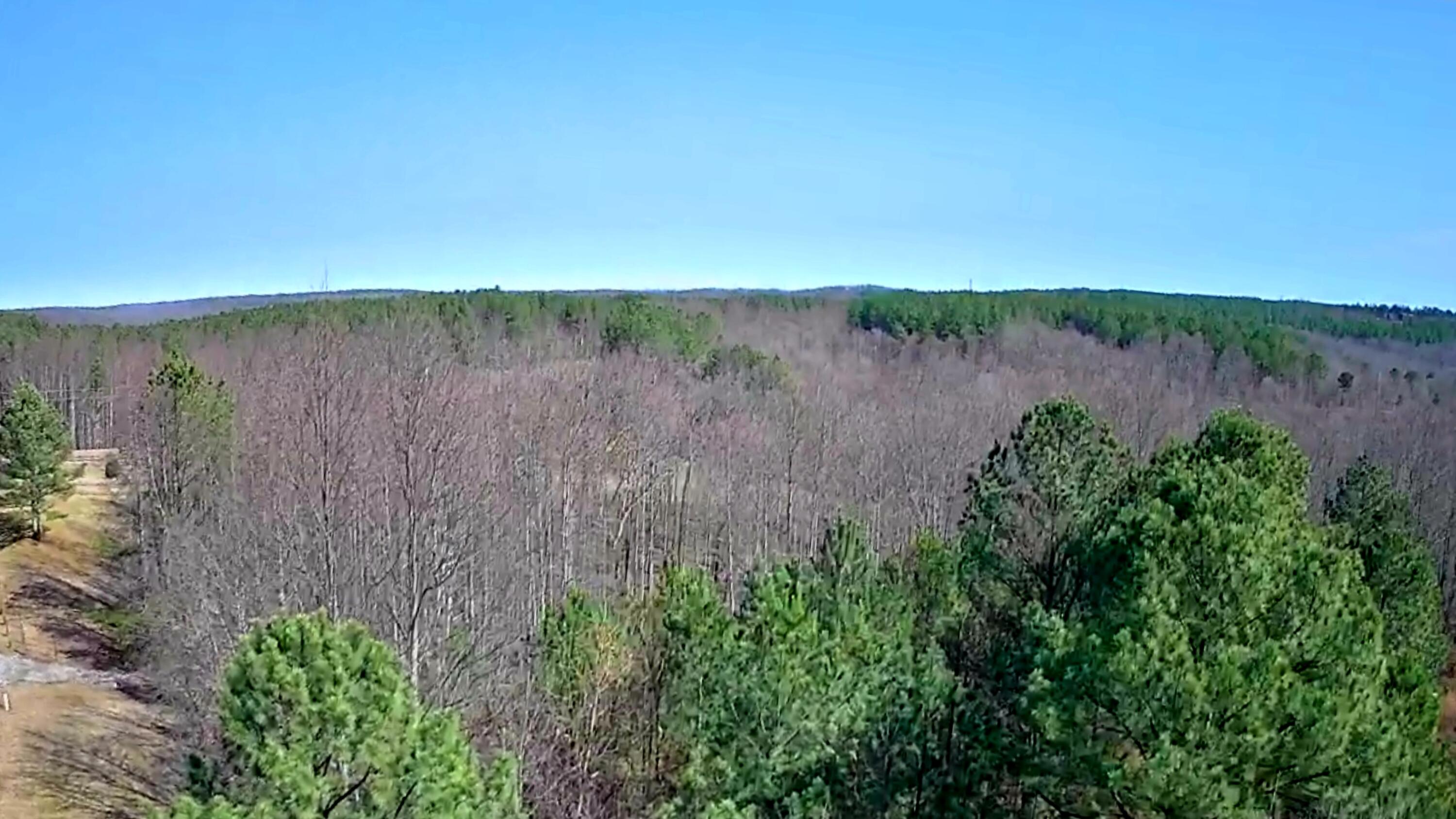 255 Falling Cliff Drive, 102