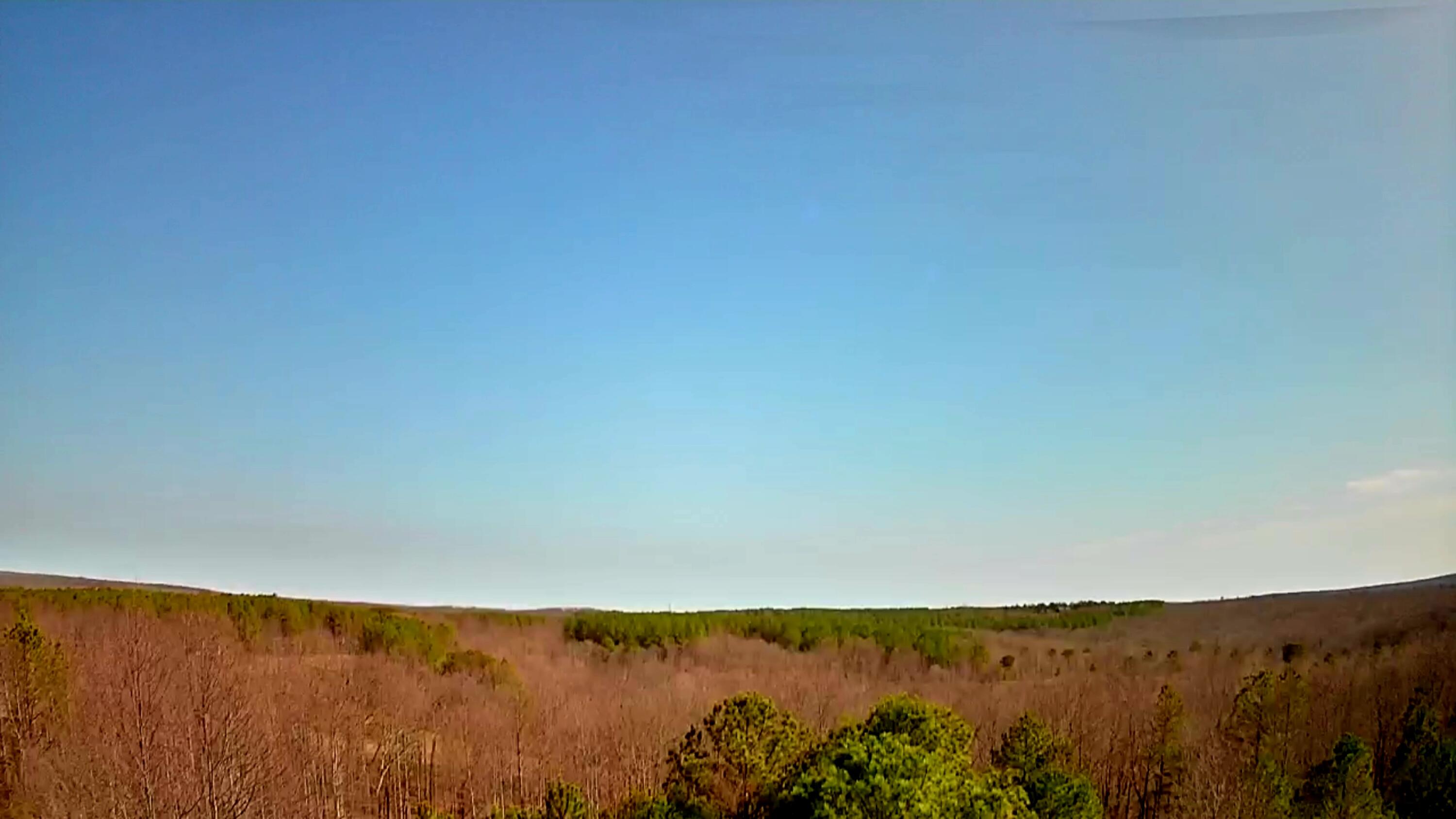 255 Falling Cliff Drive, 102