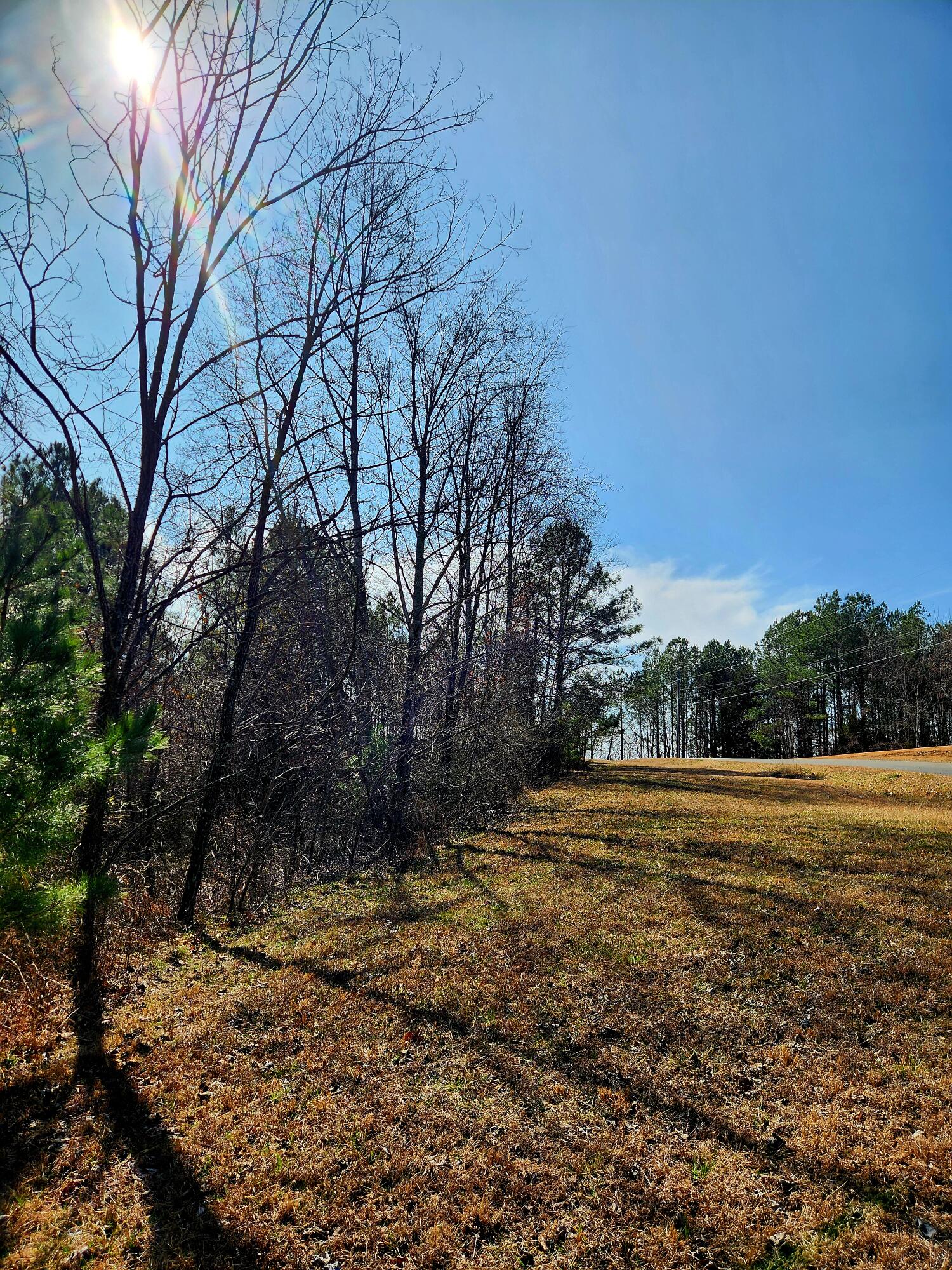 255 Falling Cliff Drive, 102