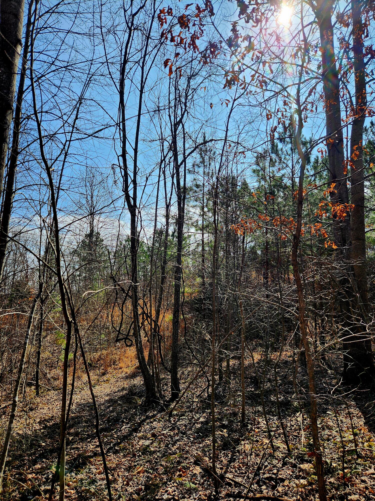 255 Falling Cliff Drive, 102
