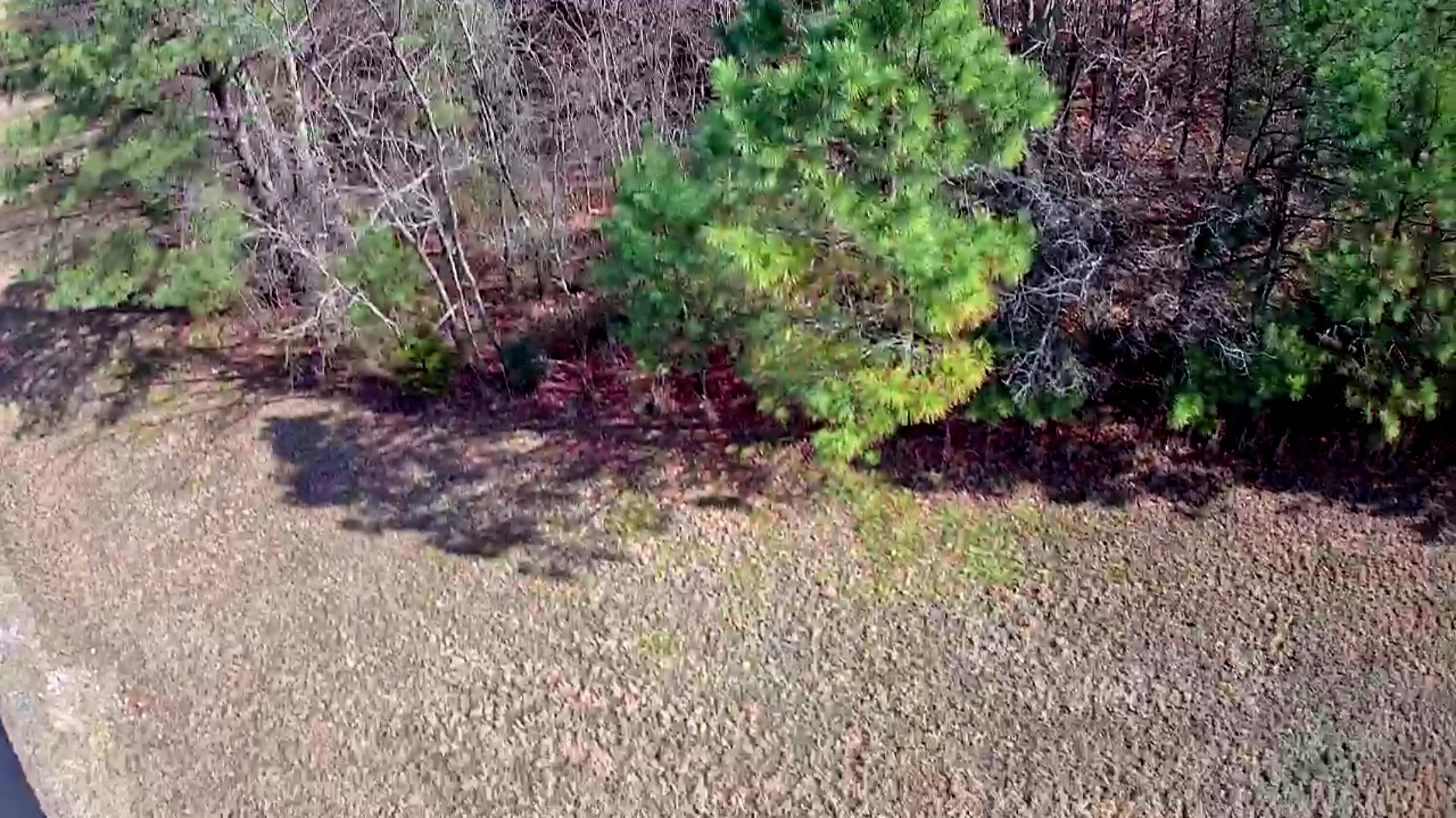 255 Falling Cliff Drive, 102