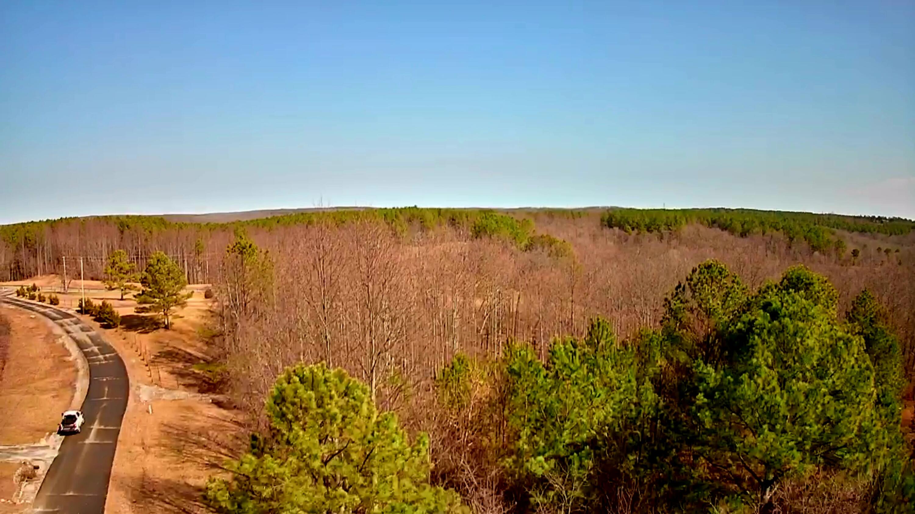 255 Falling Cliff Drive, 102