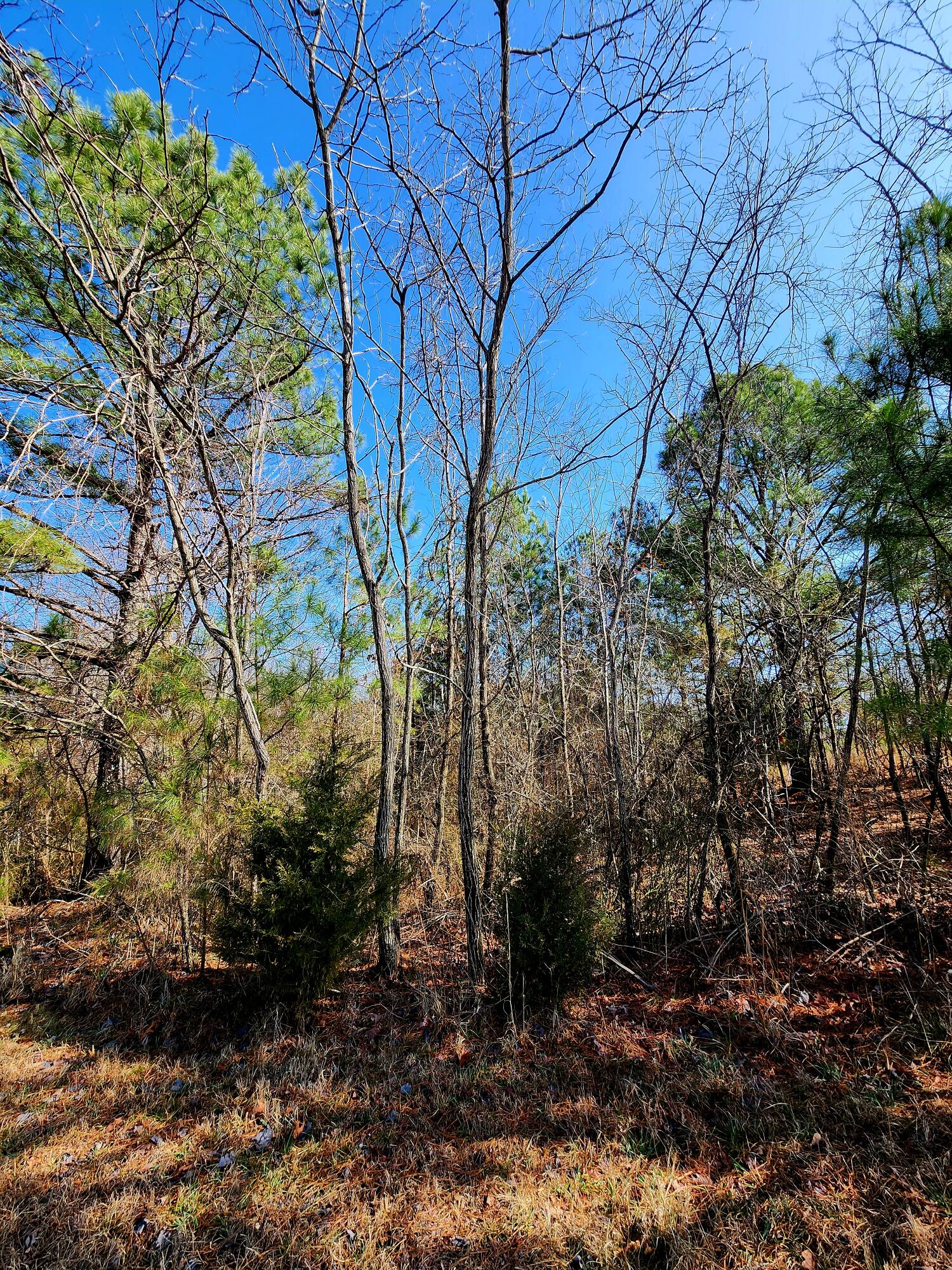 255 Falling Cliff Drive, 102