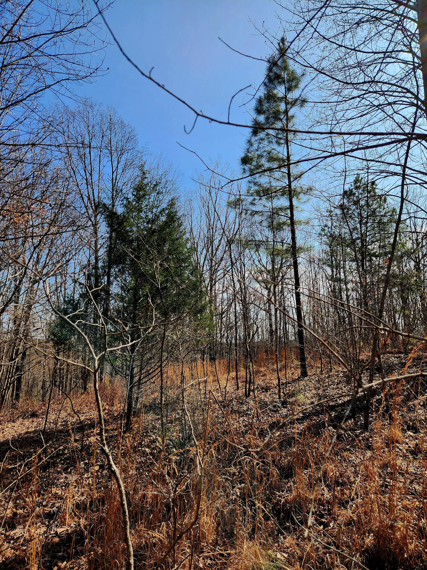 255 Falling Cliff Drive, 102