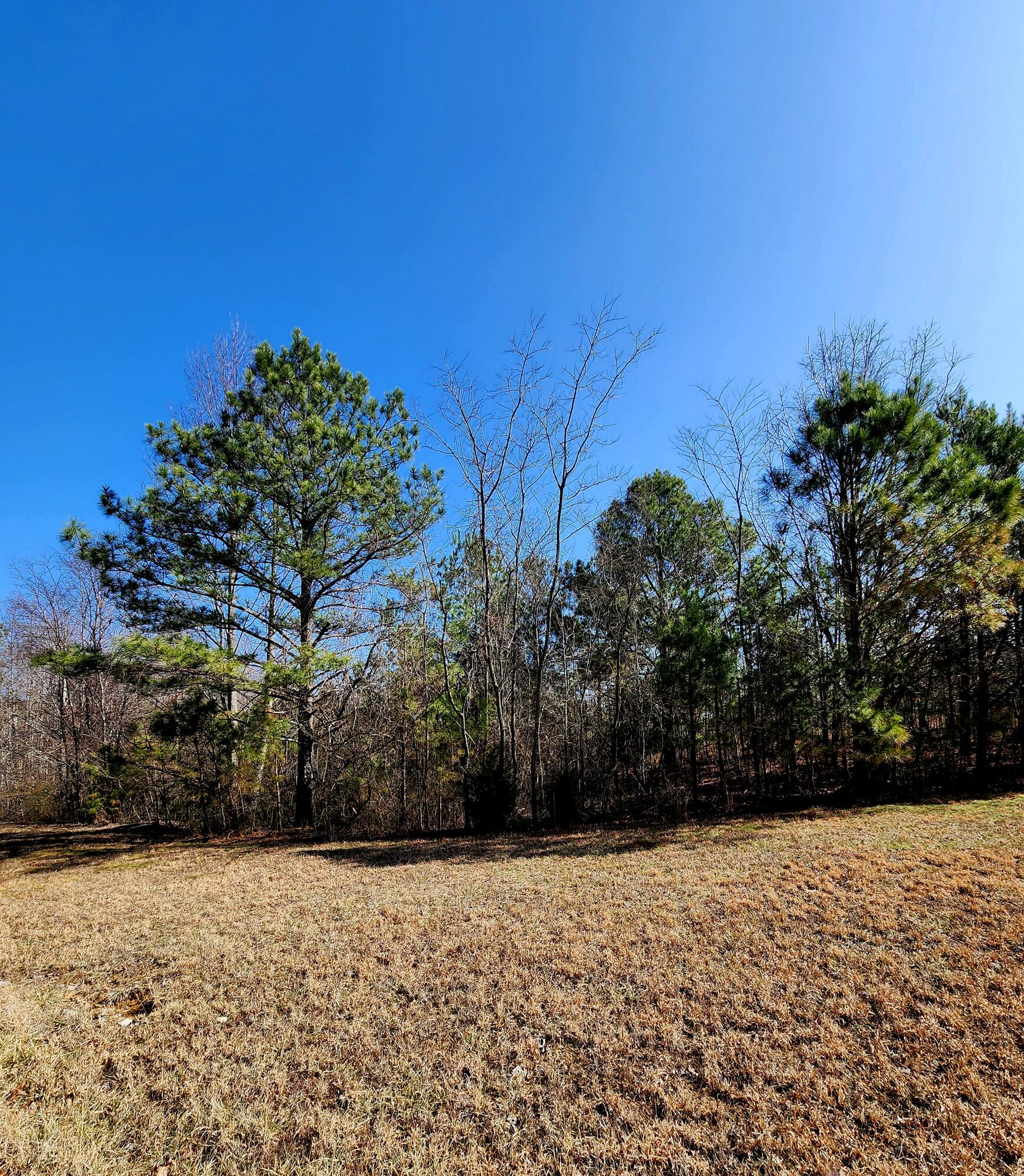 255 Falling Cliff Drive, 102