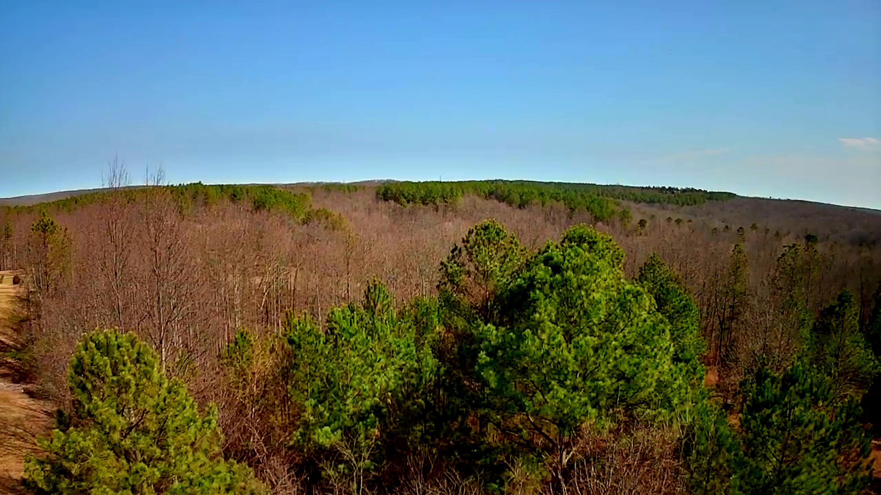 255 Falling Cliff Drive, 102