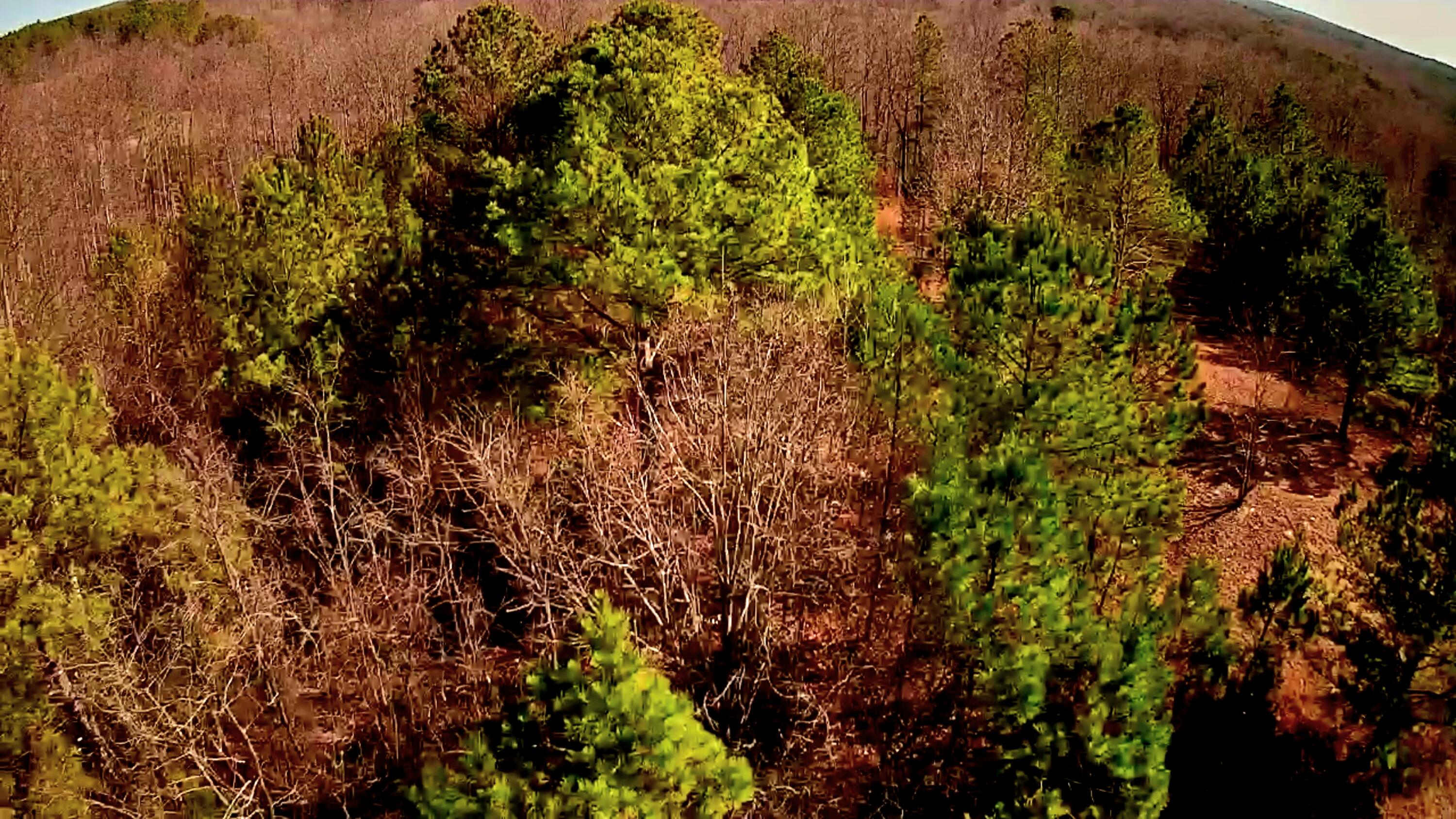 255 Falling Cliff Drive, 102