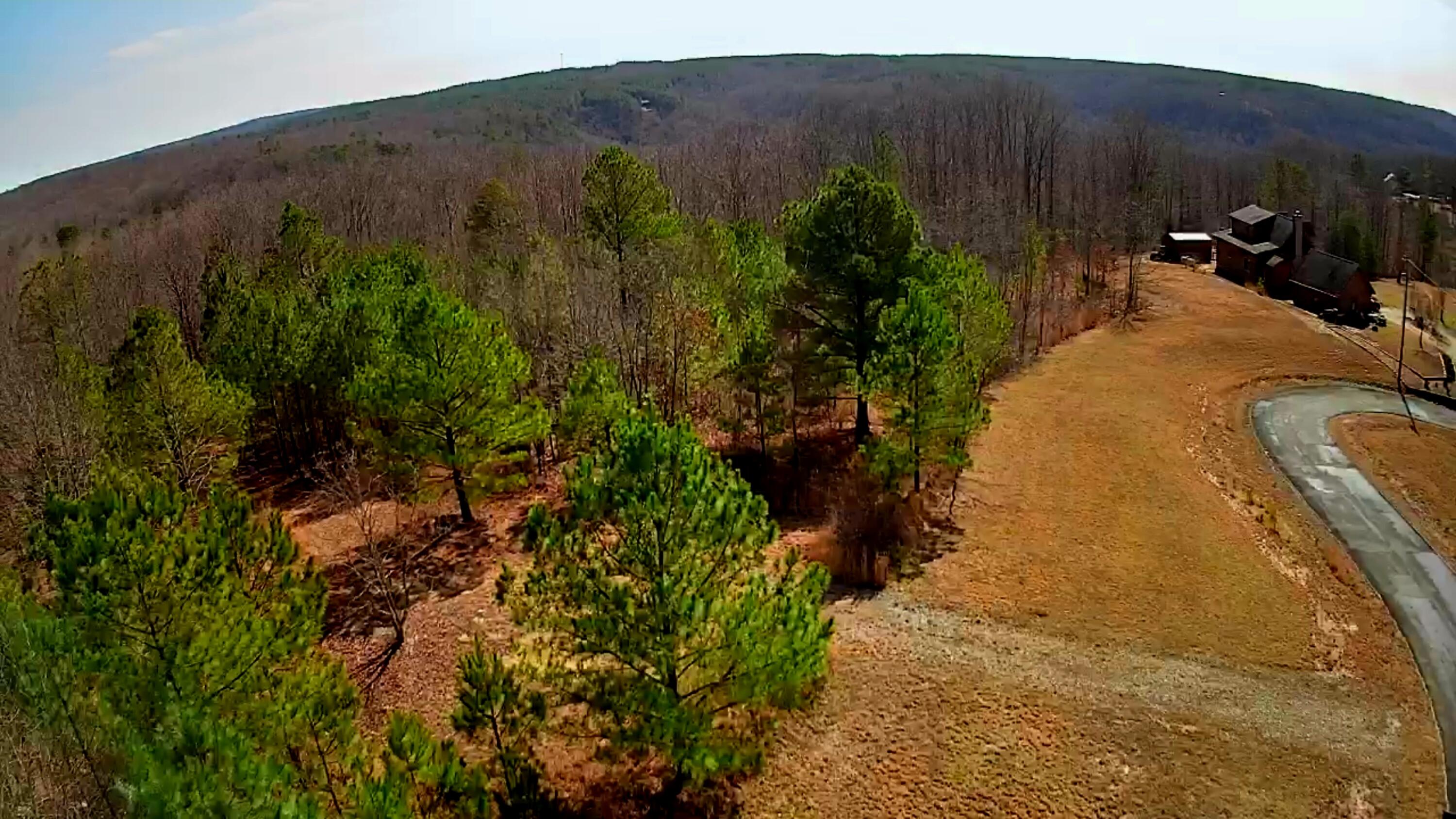 255 Falling Cliff Drive, 102