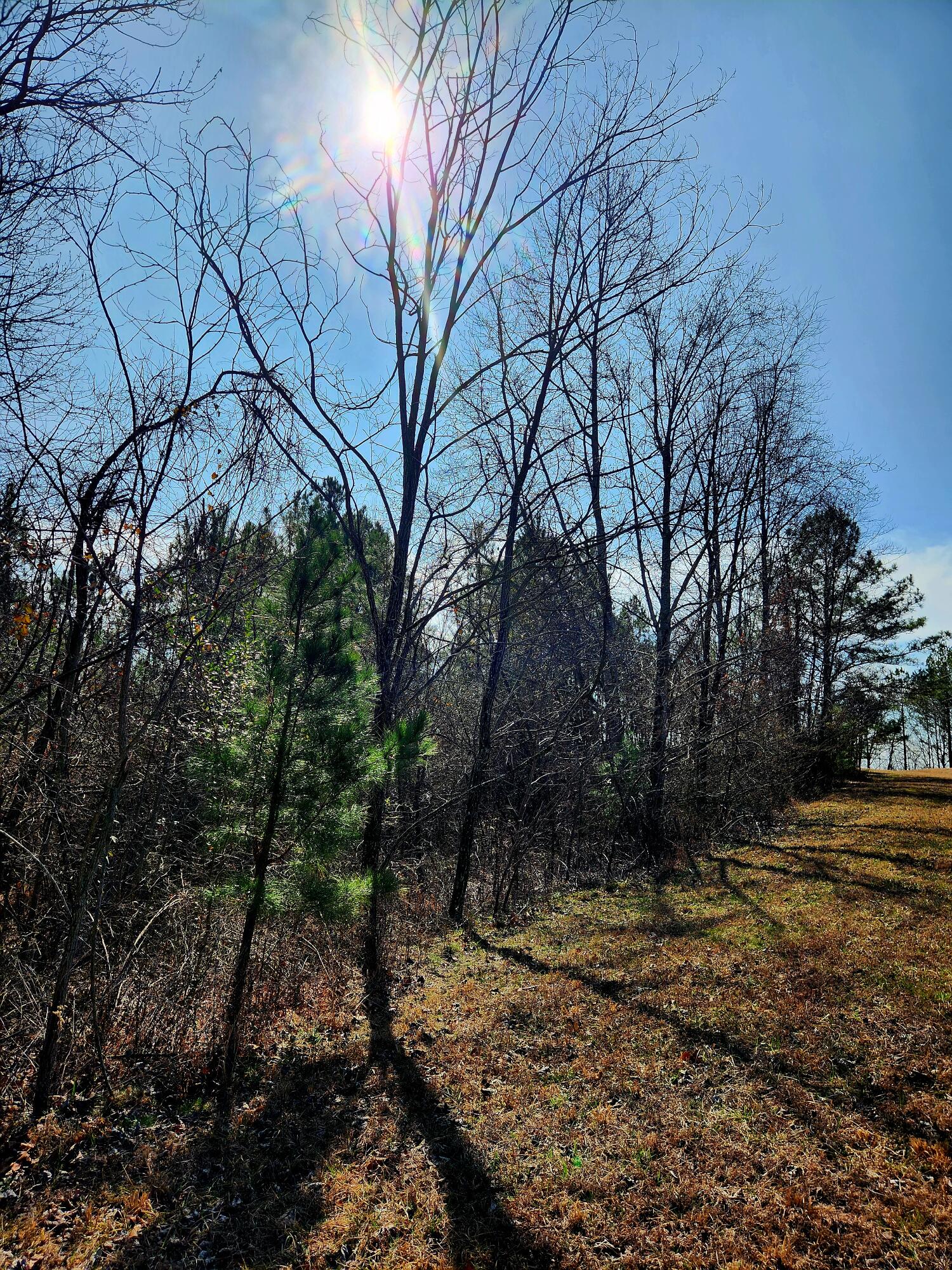 255 Falling Cliff Drive, 102