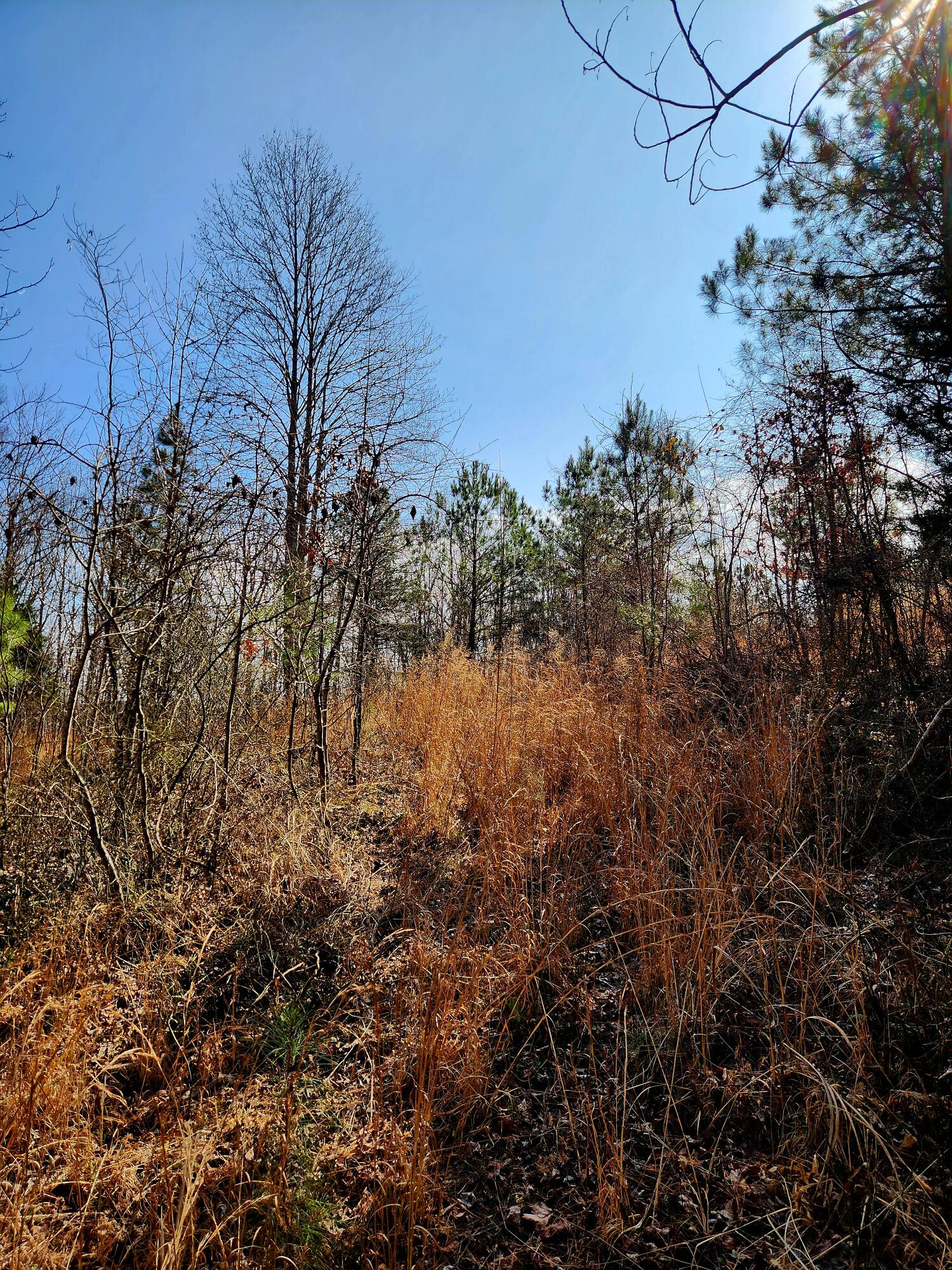 255 Falling Cliff Drive, 102