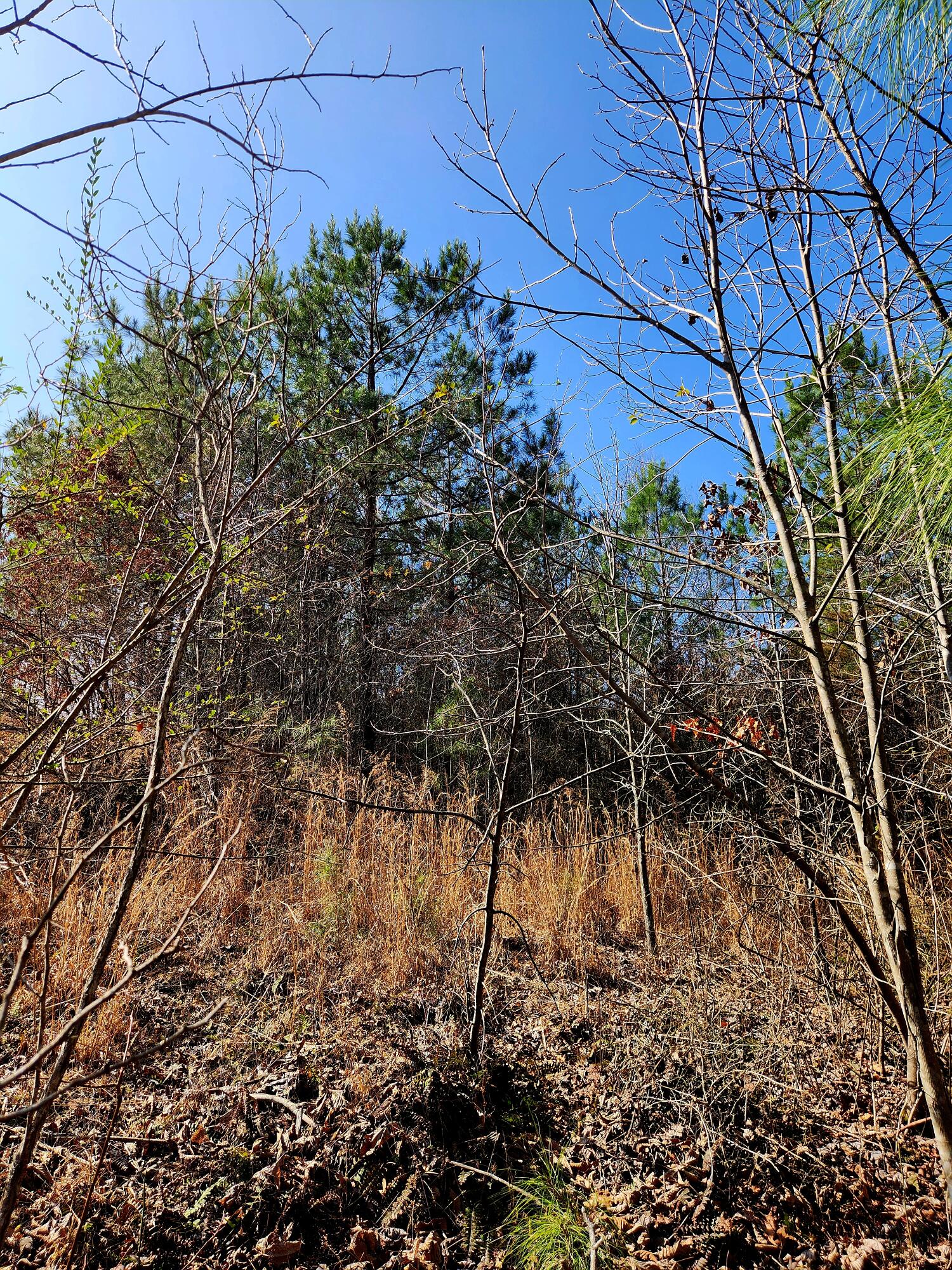 255 Falling Cliff Drive, 102