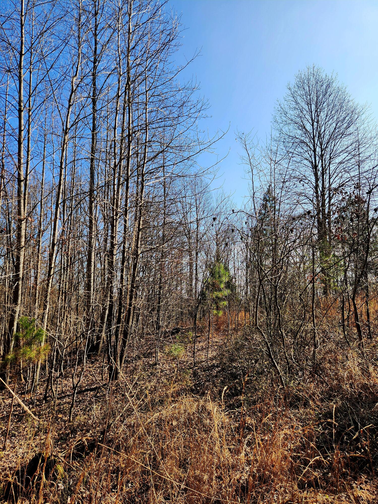 255 Falling Cliff Drive, 102
