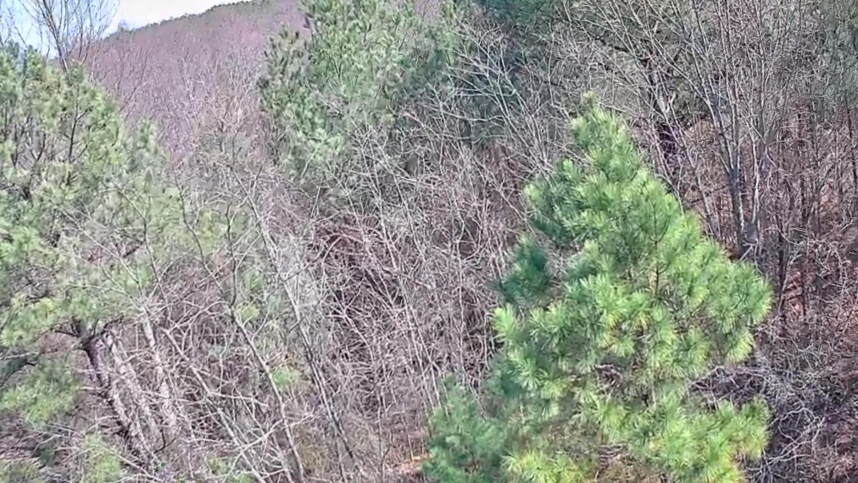 255 Falling Cliff Drive, 102