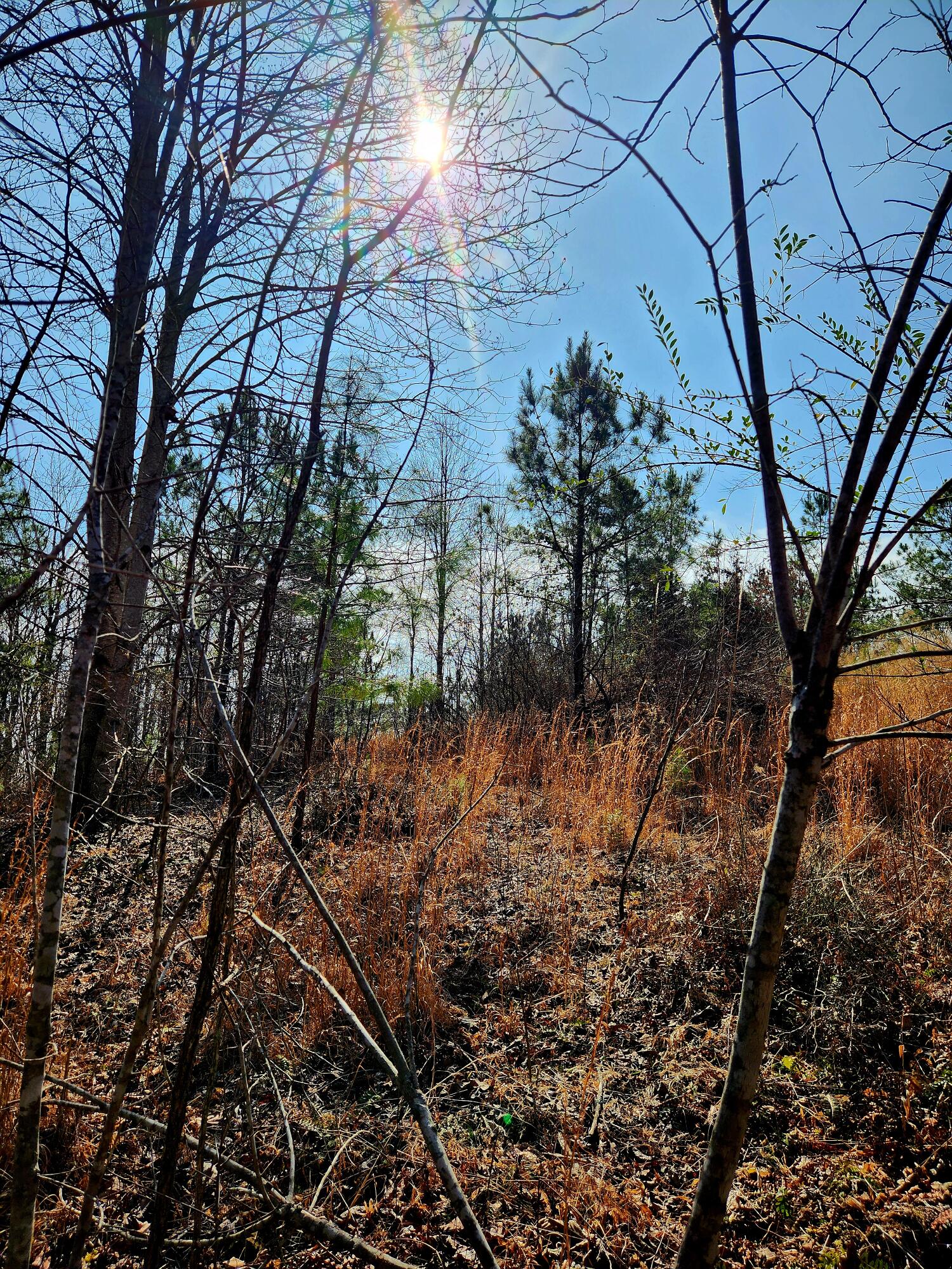 255 Falling Cliff Drive, 102