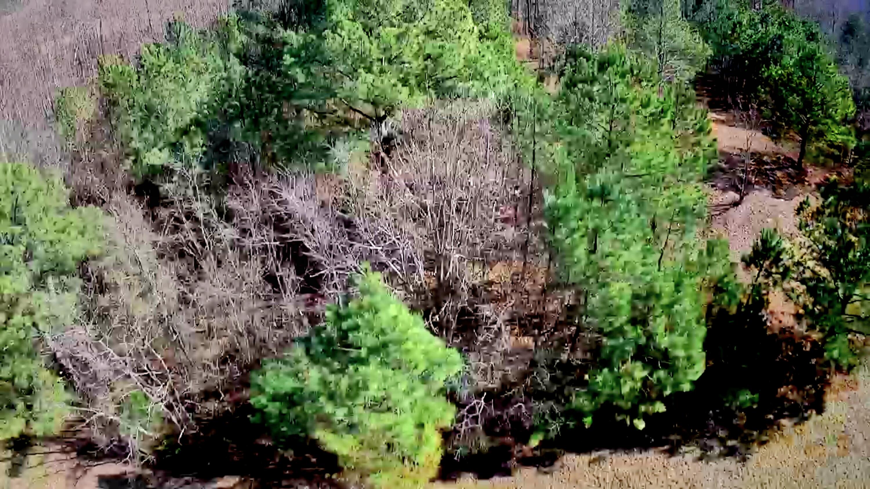 255 Falling Cliff Drive, 102