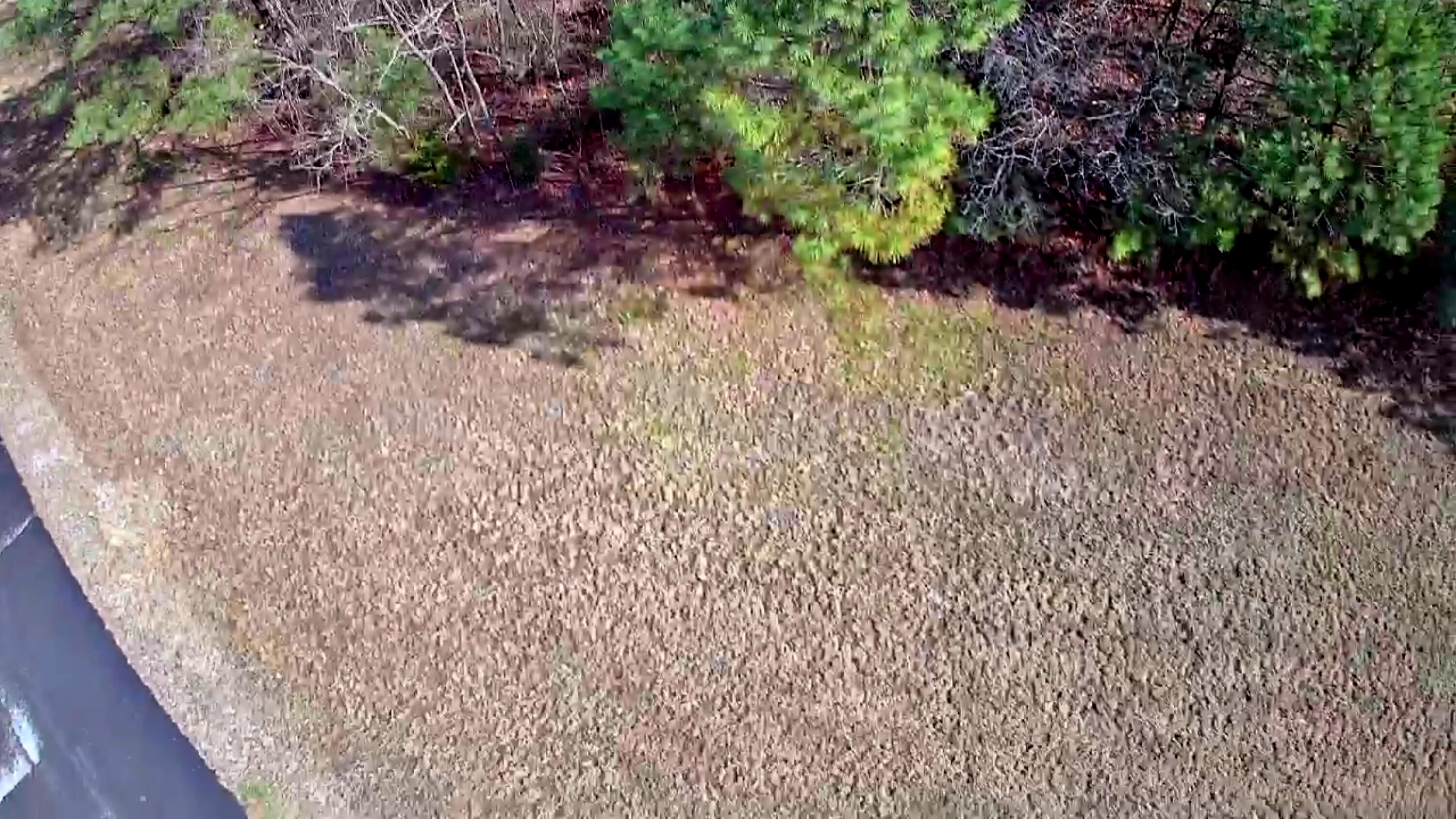 255 Falling Cliff Drive, 102