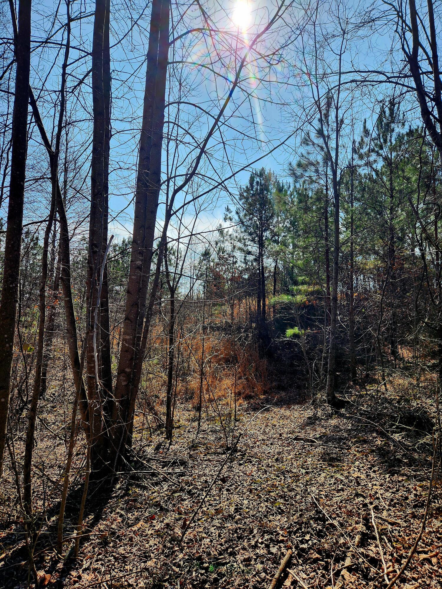 255 Falling Cliff Drive, 102