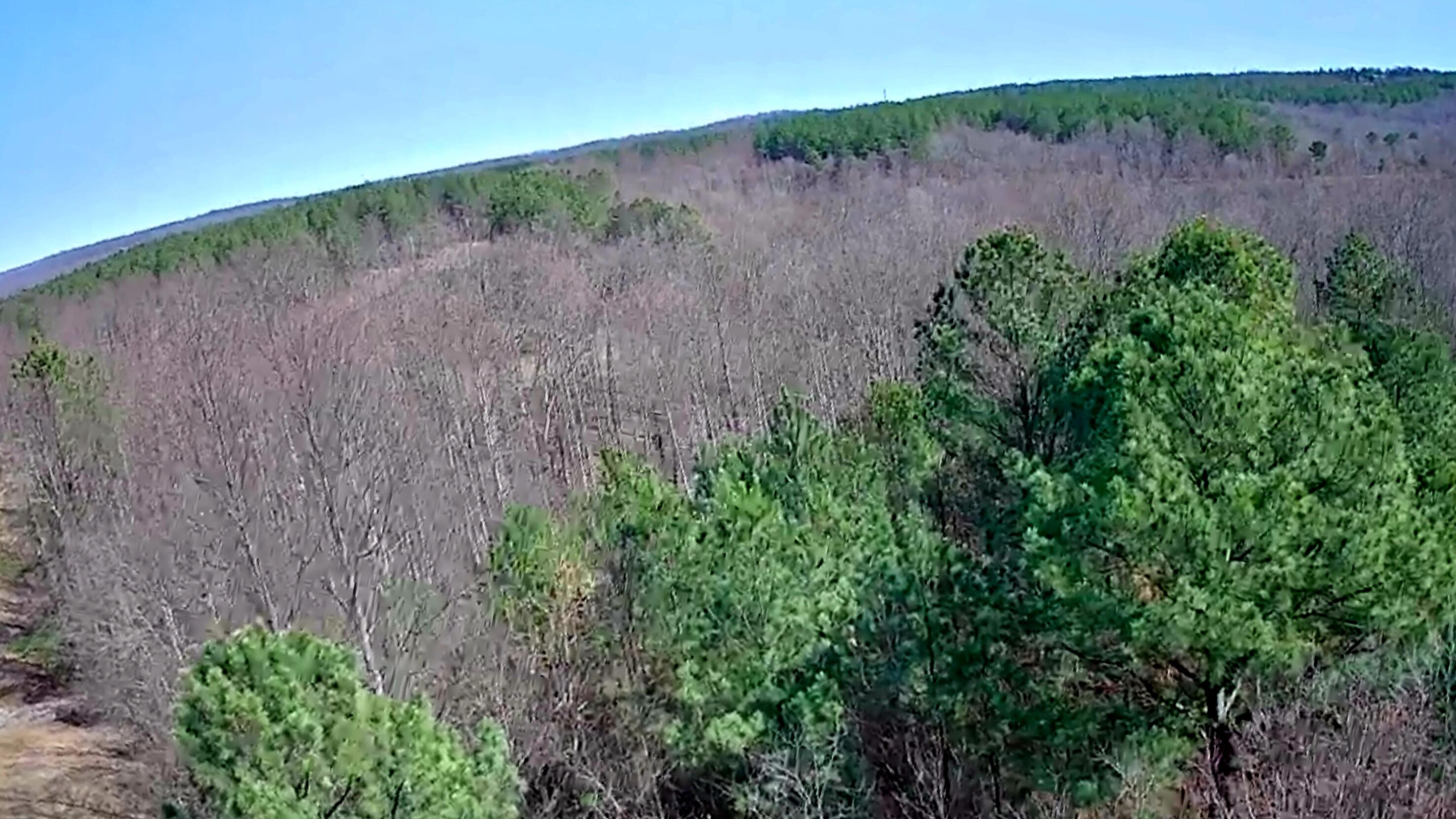 255 Falling Cliff Drive, 102