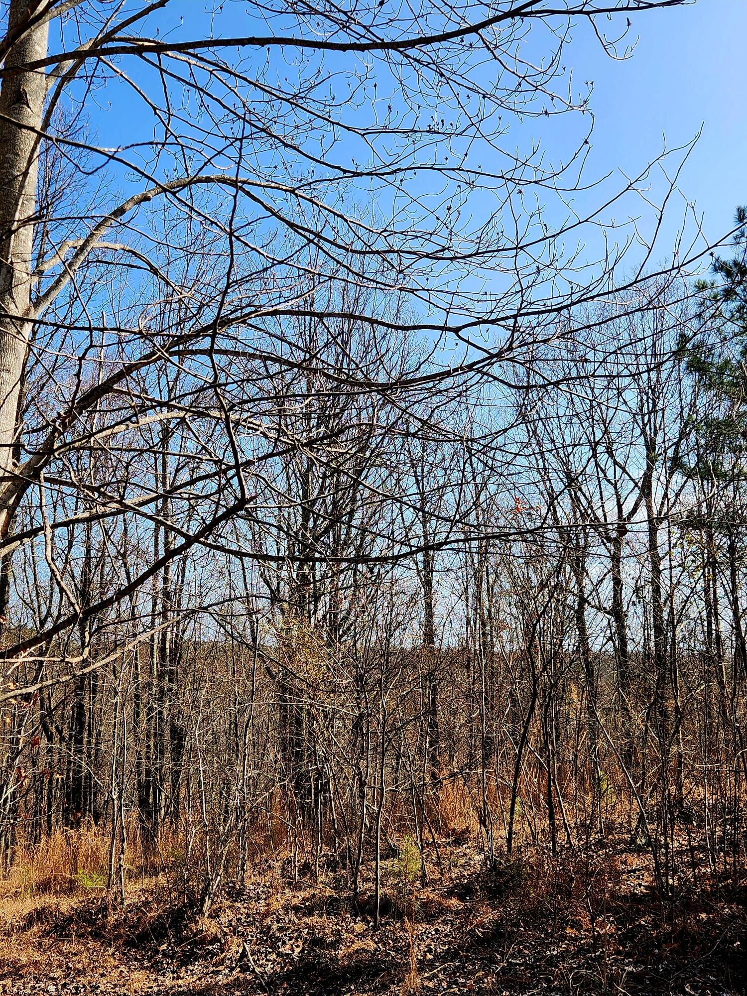 255 Falling Cliff Drive, 102