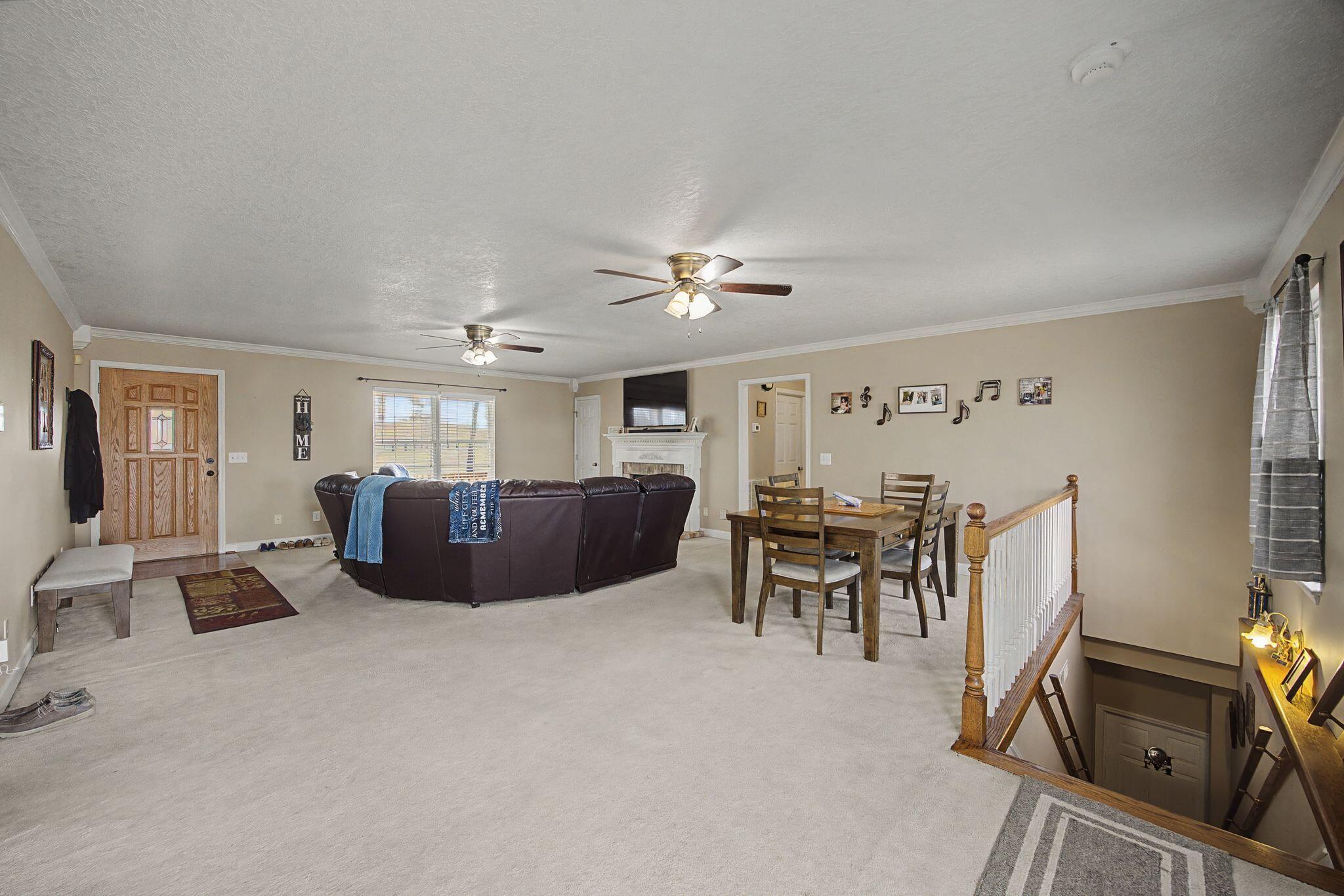 3911 County Road 131