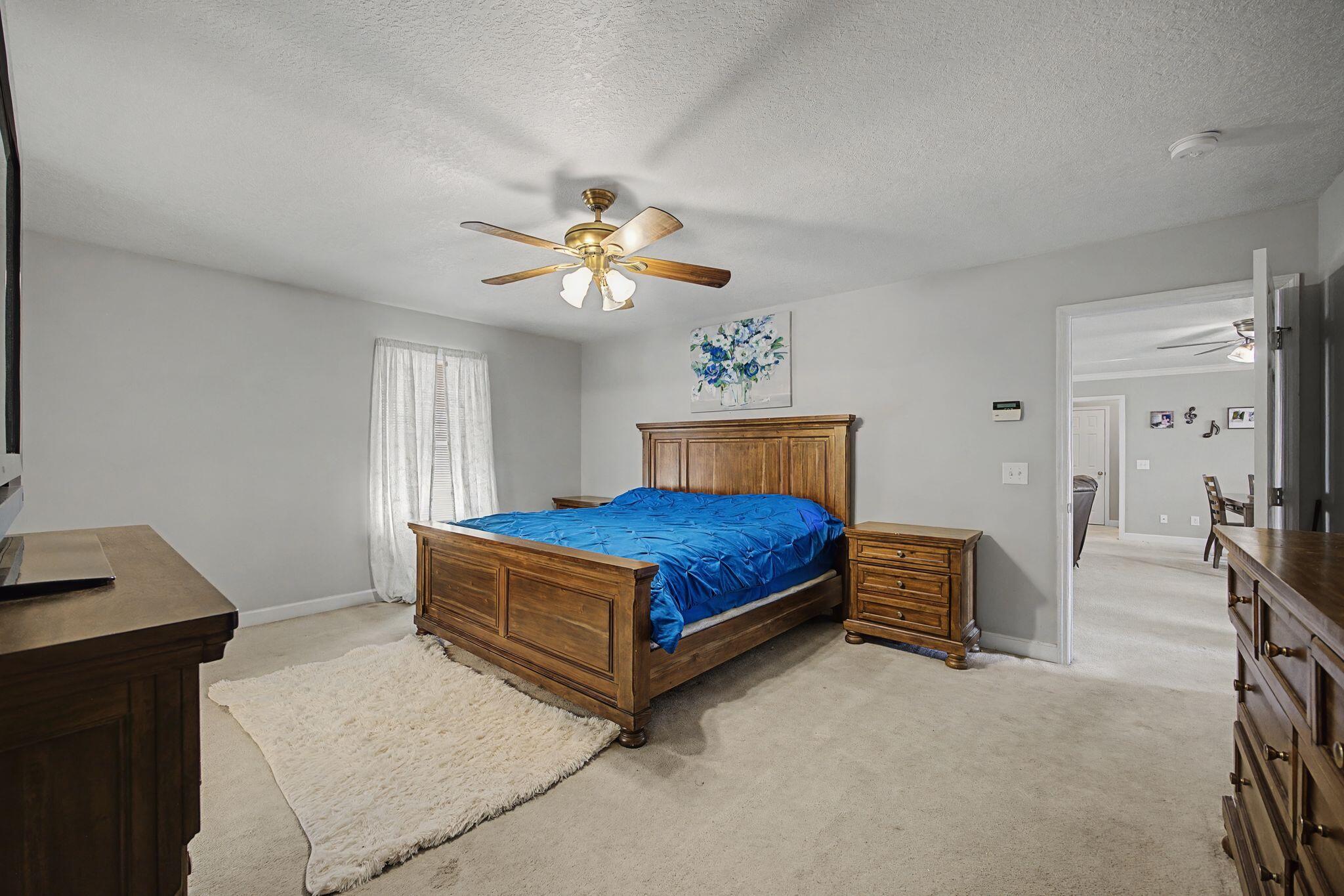 3911 County Road 131