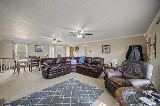 3911 County Road 131