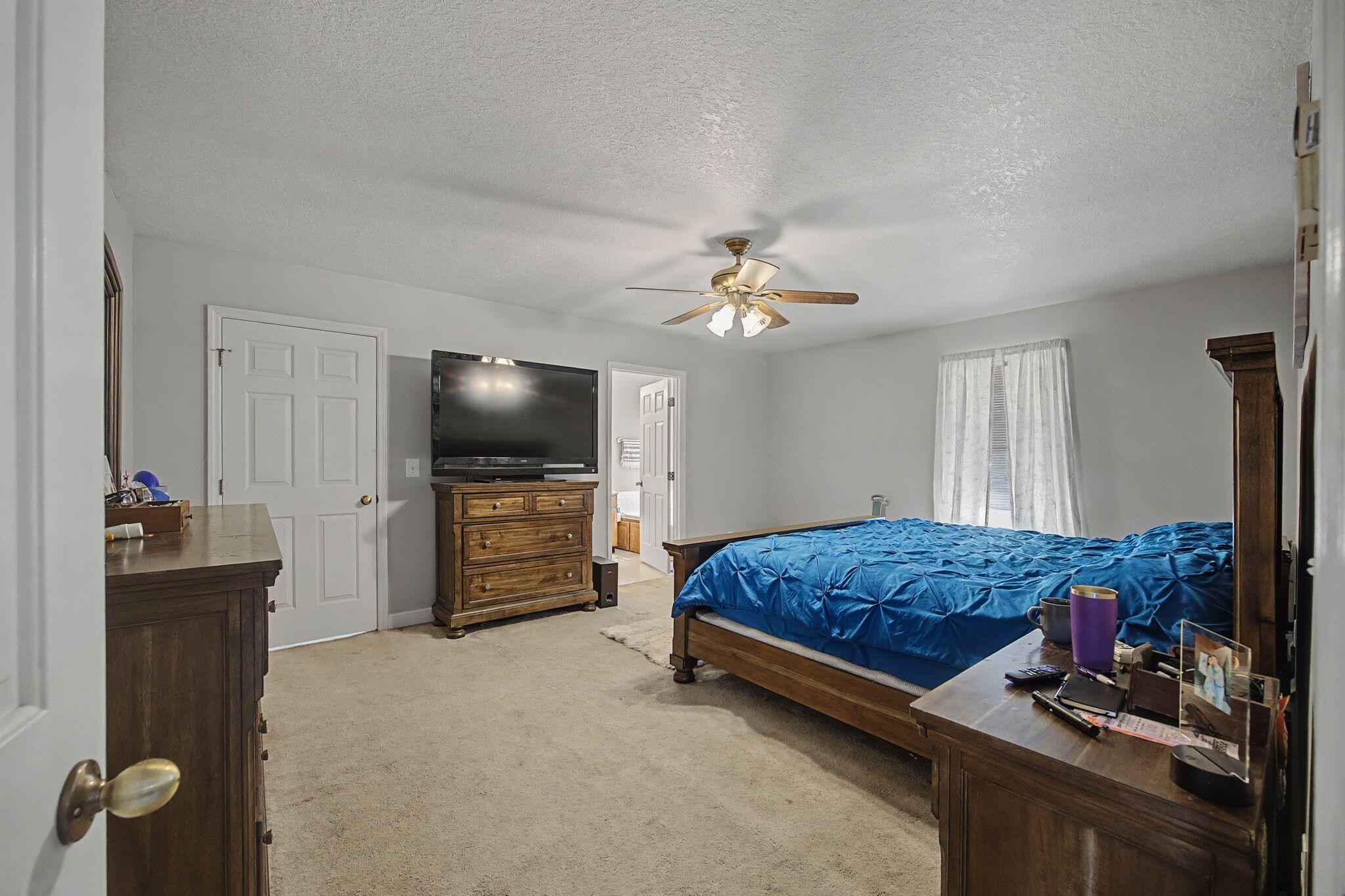 3911 County Road 131