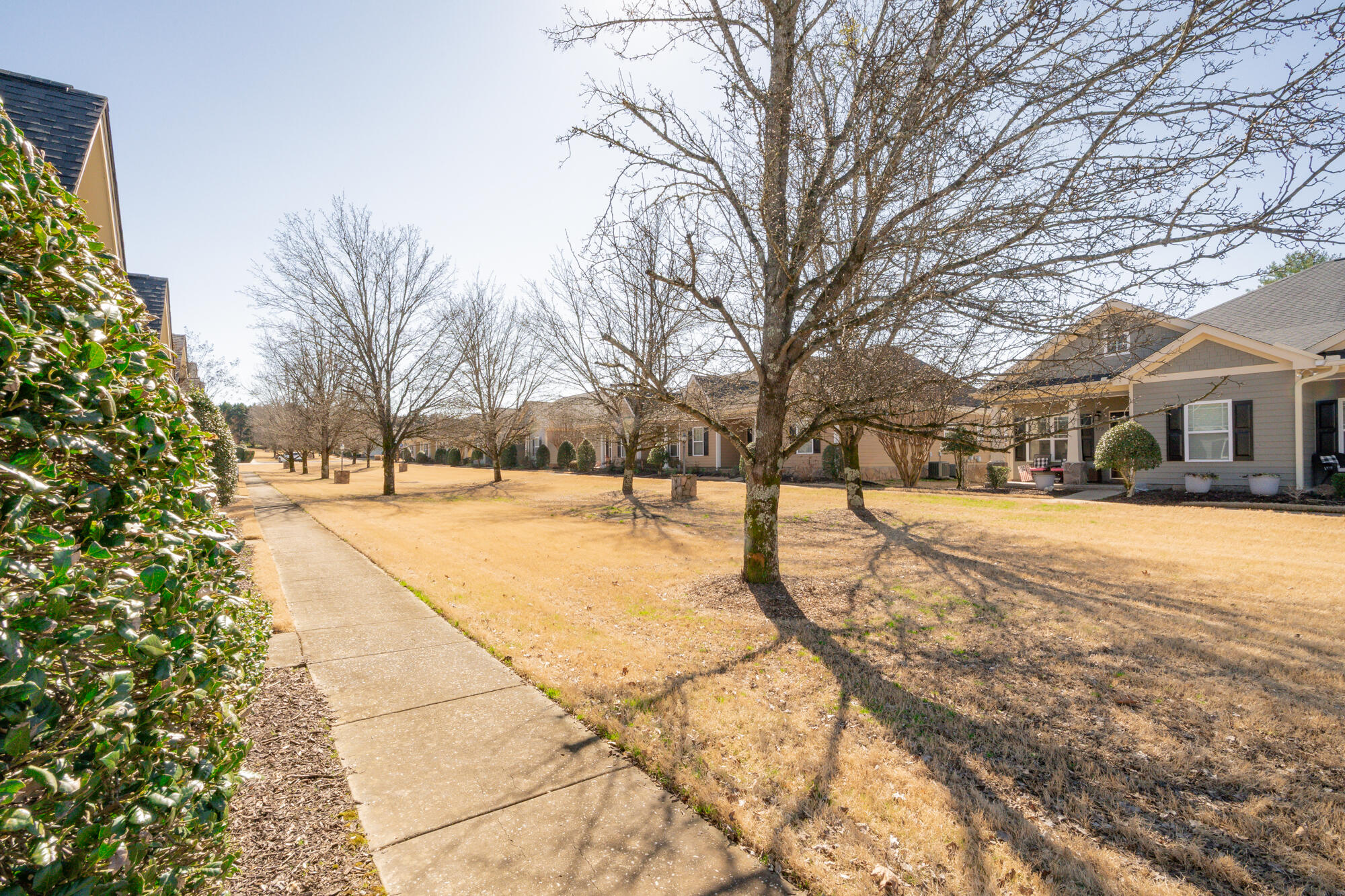 763 Callaway Court