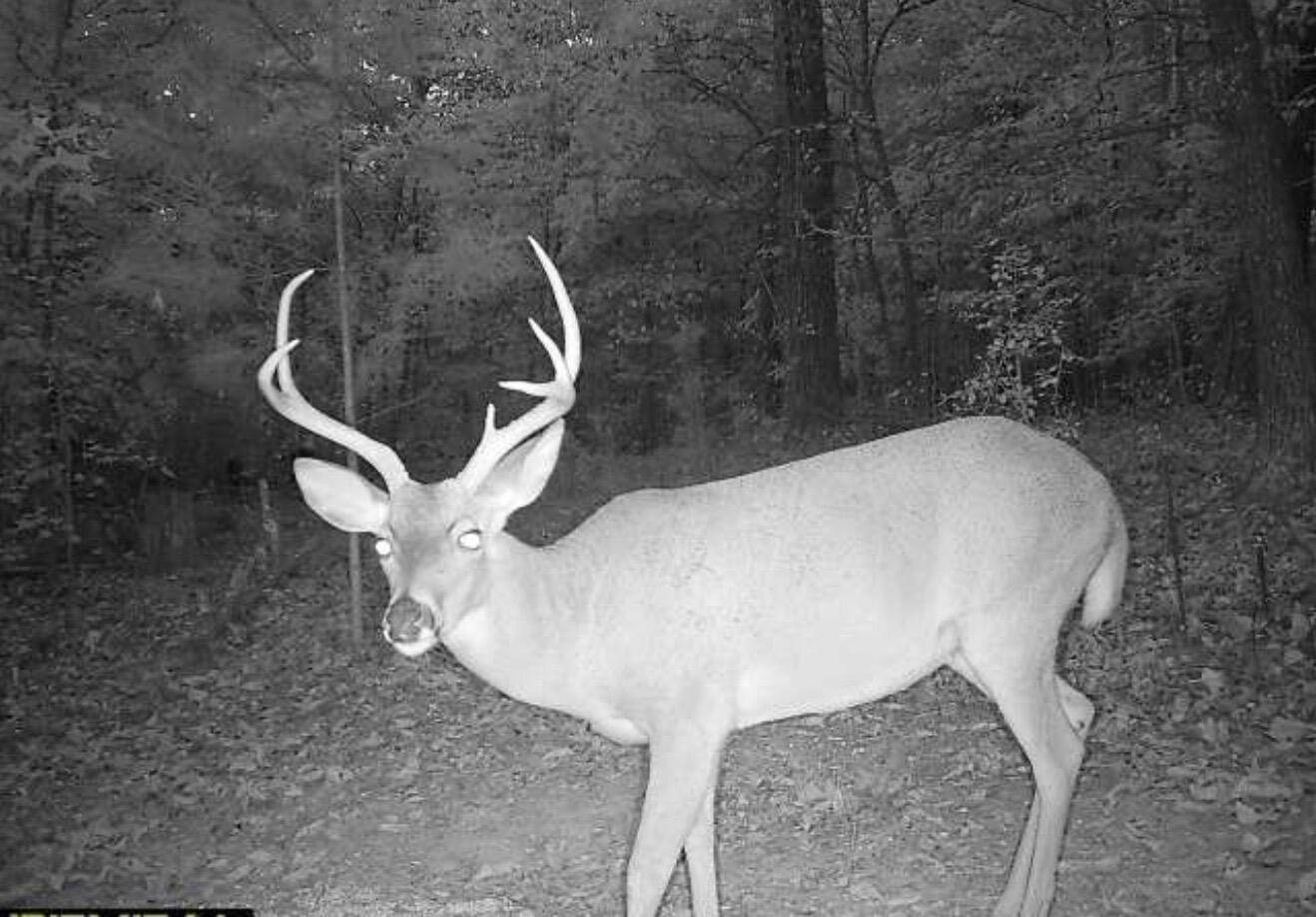 16127 Lakewood Drive