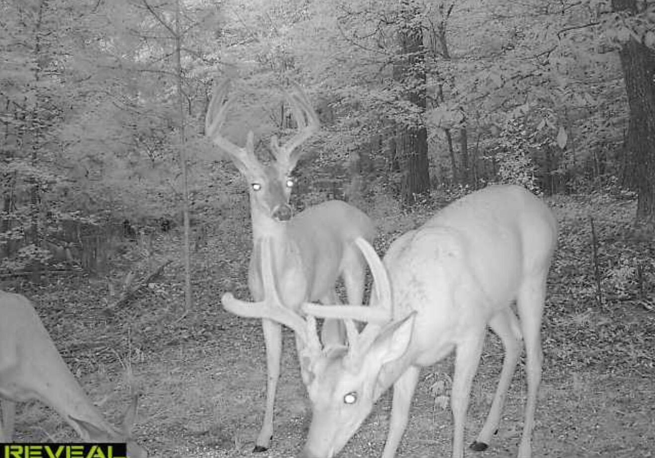 16127 Lakewood Drive