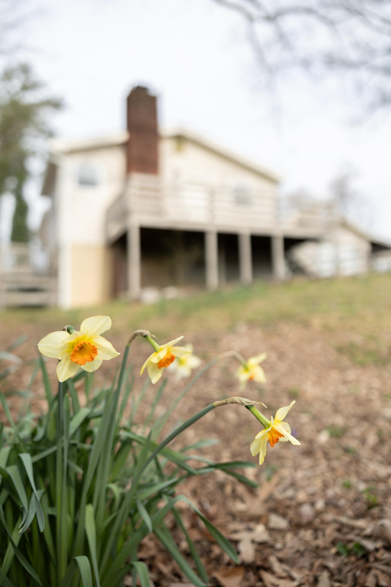 2607 Hope Valley Trail