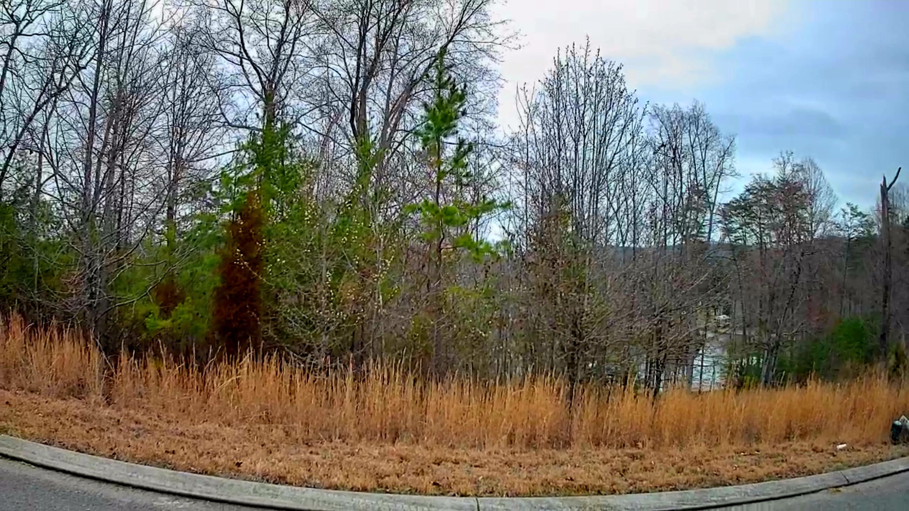 0 Spring Cove Lane, 6