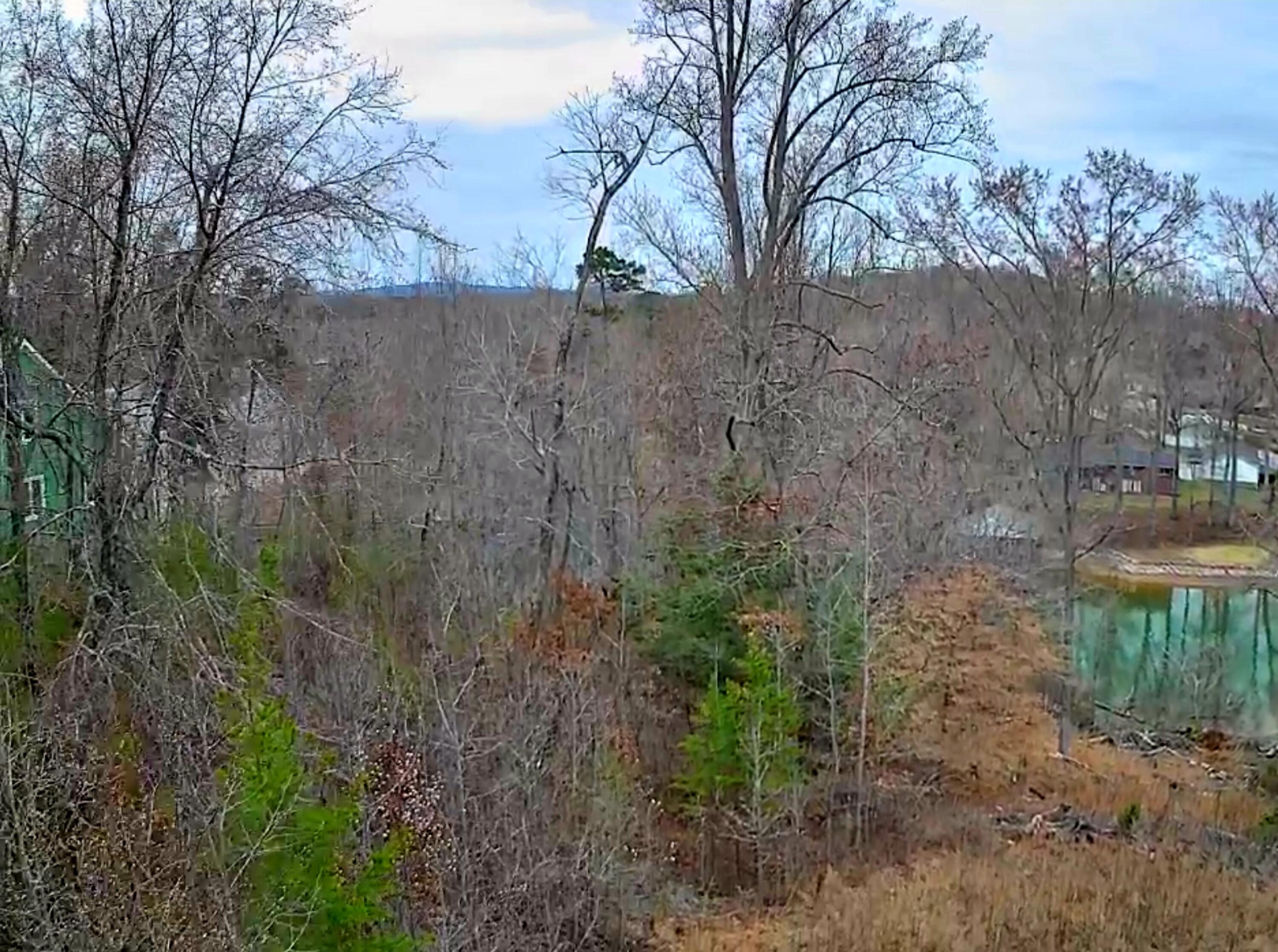 0 Spring Cove Lane, 6