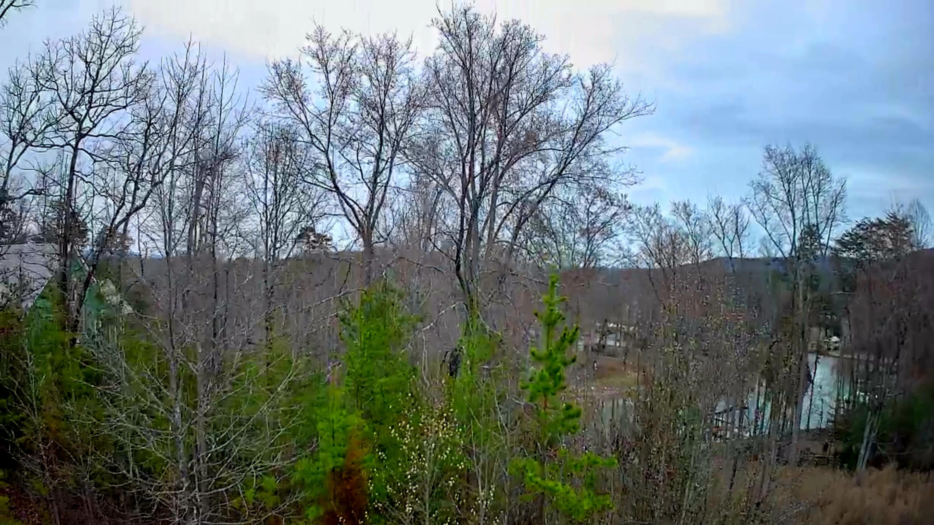 0 Spring Cove Lane, 6