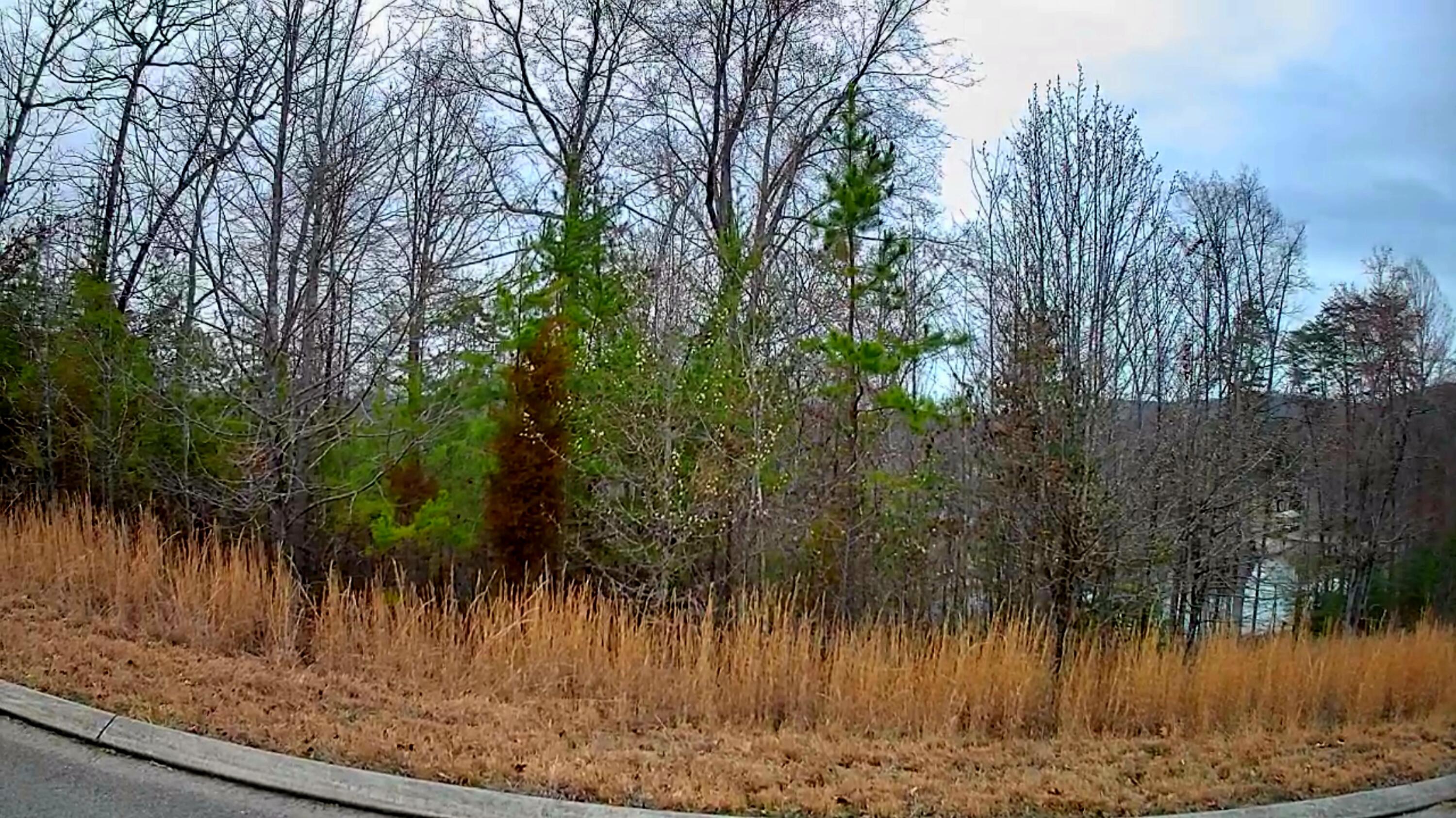 0 Spring Cove Lane, 6