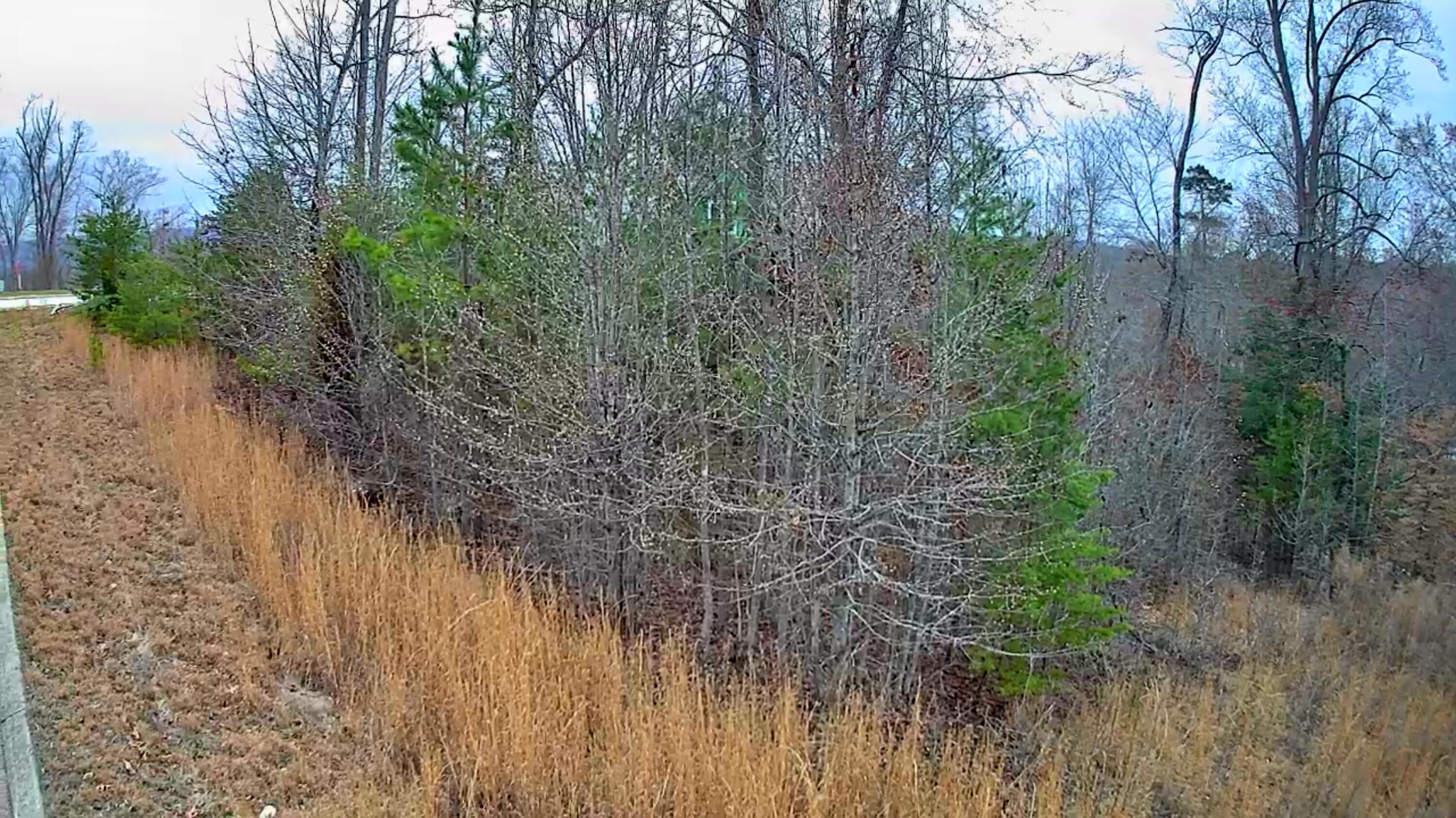 0 Spring Cove Lane, 6