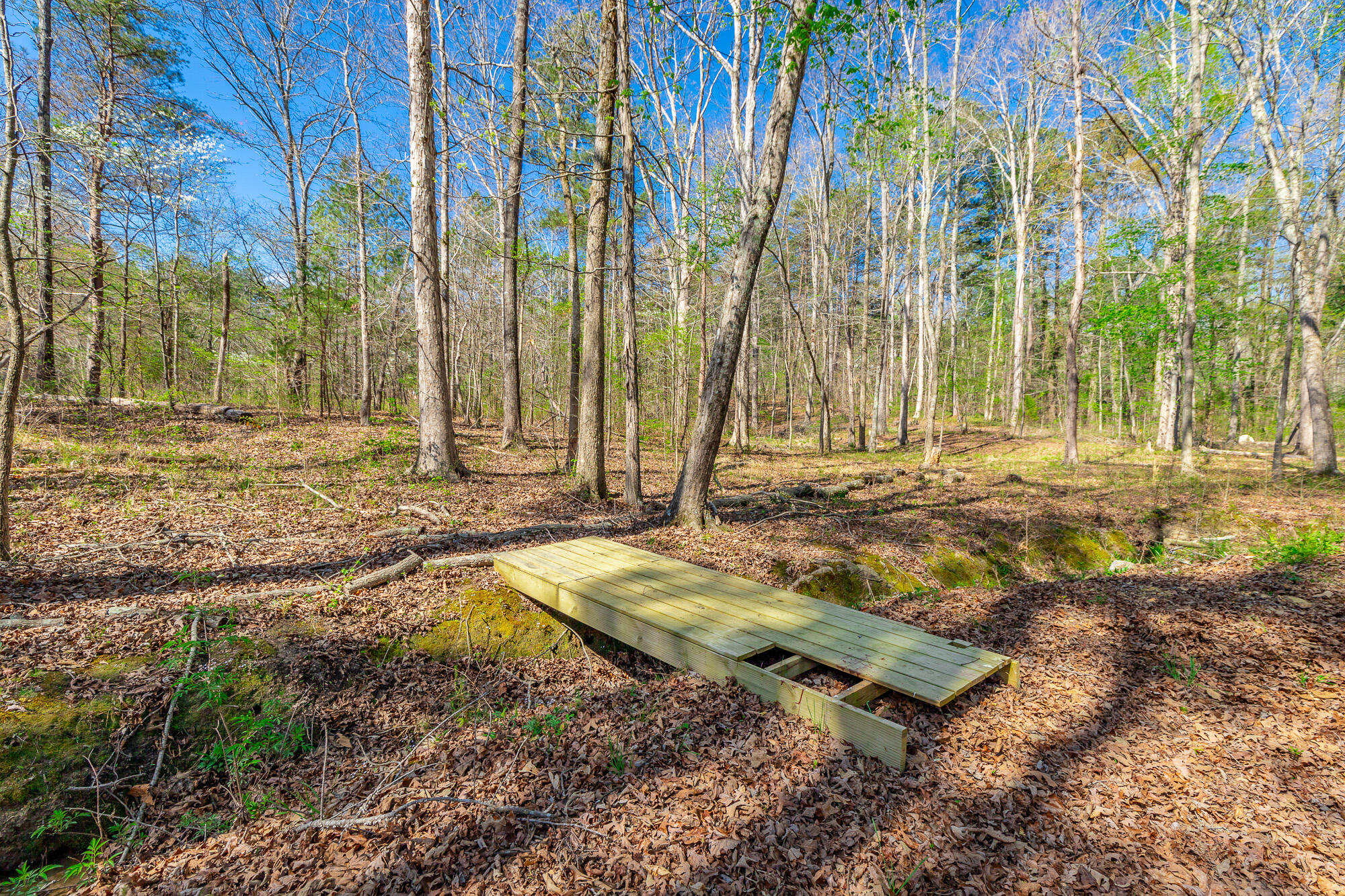 578 Capehart Road