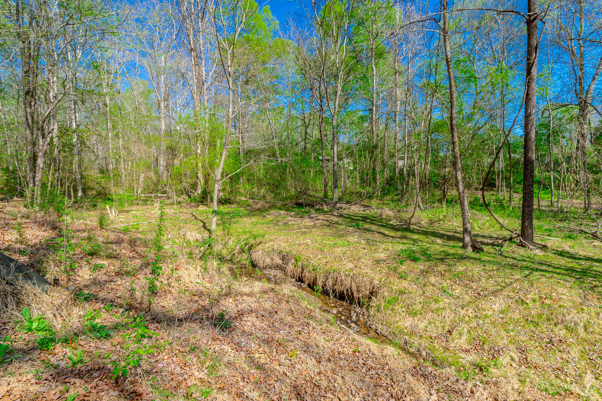 578 Capehart Road