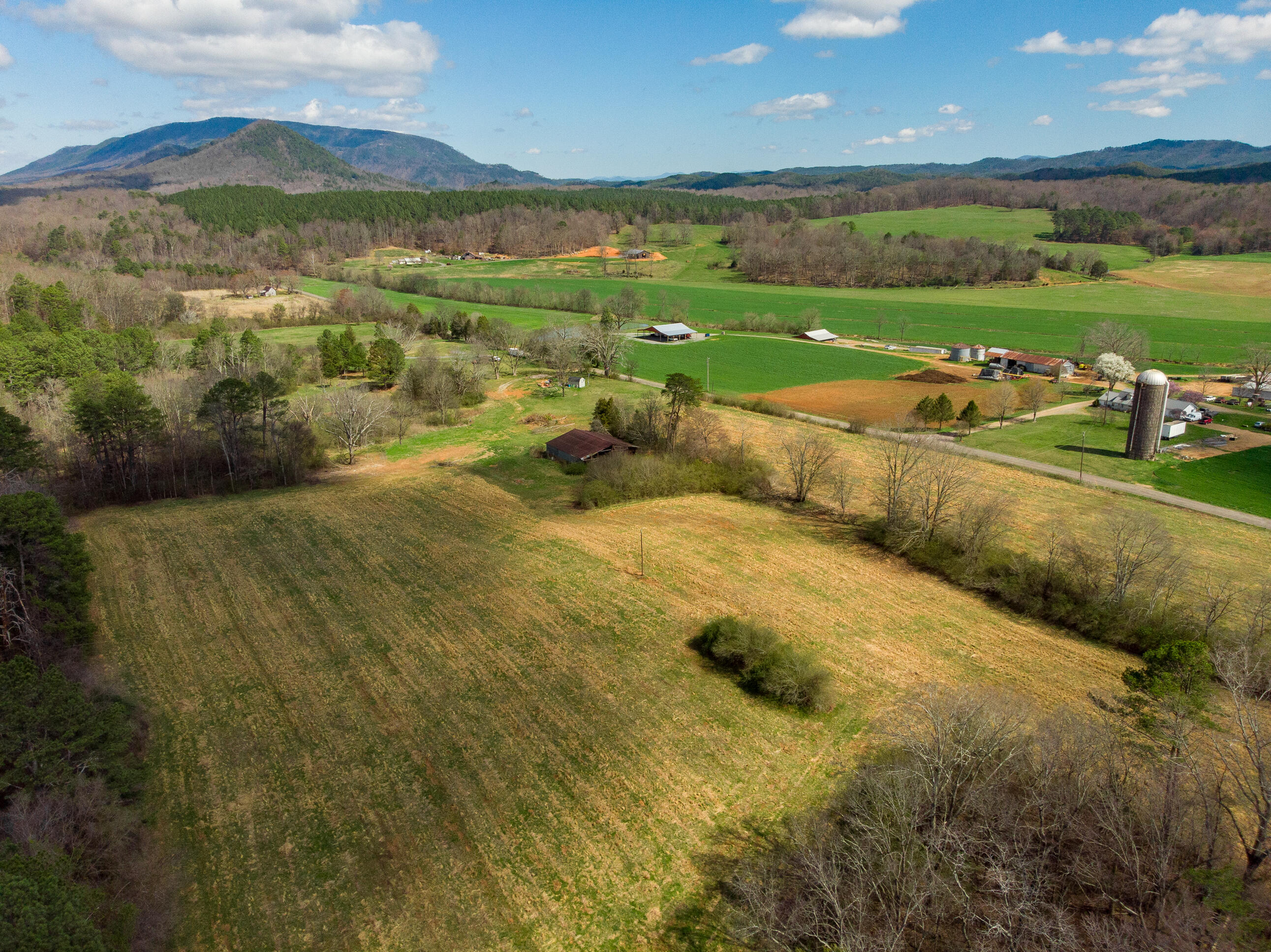 1321 Sand Mountain Road