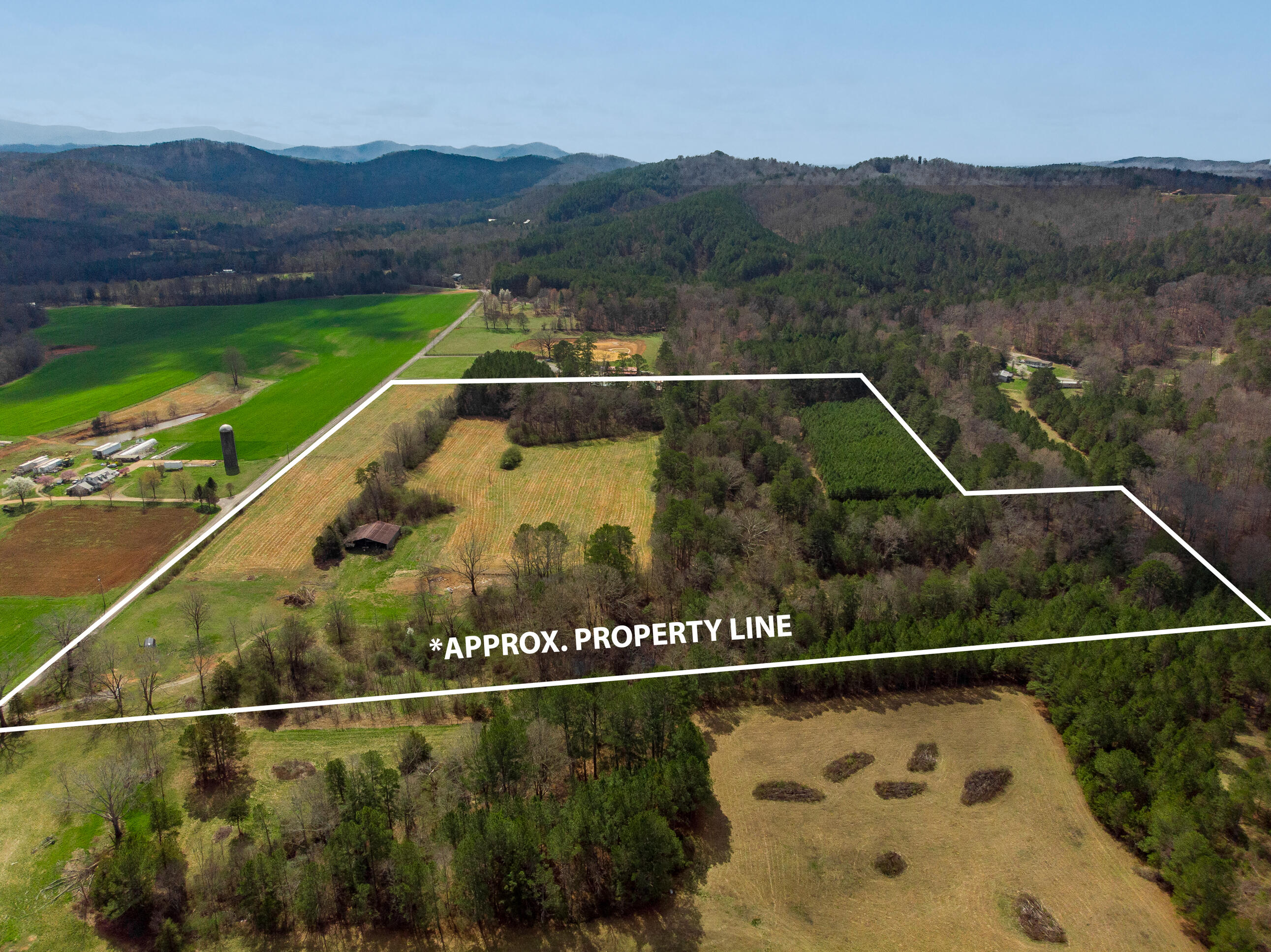 1321 Sand Mountain Road