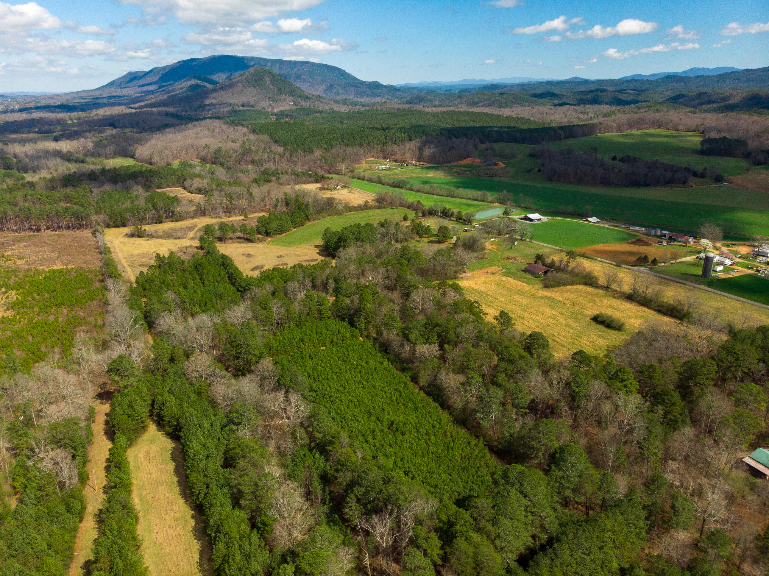 1321 Sand Mountain Road