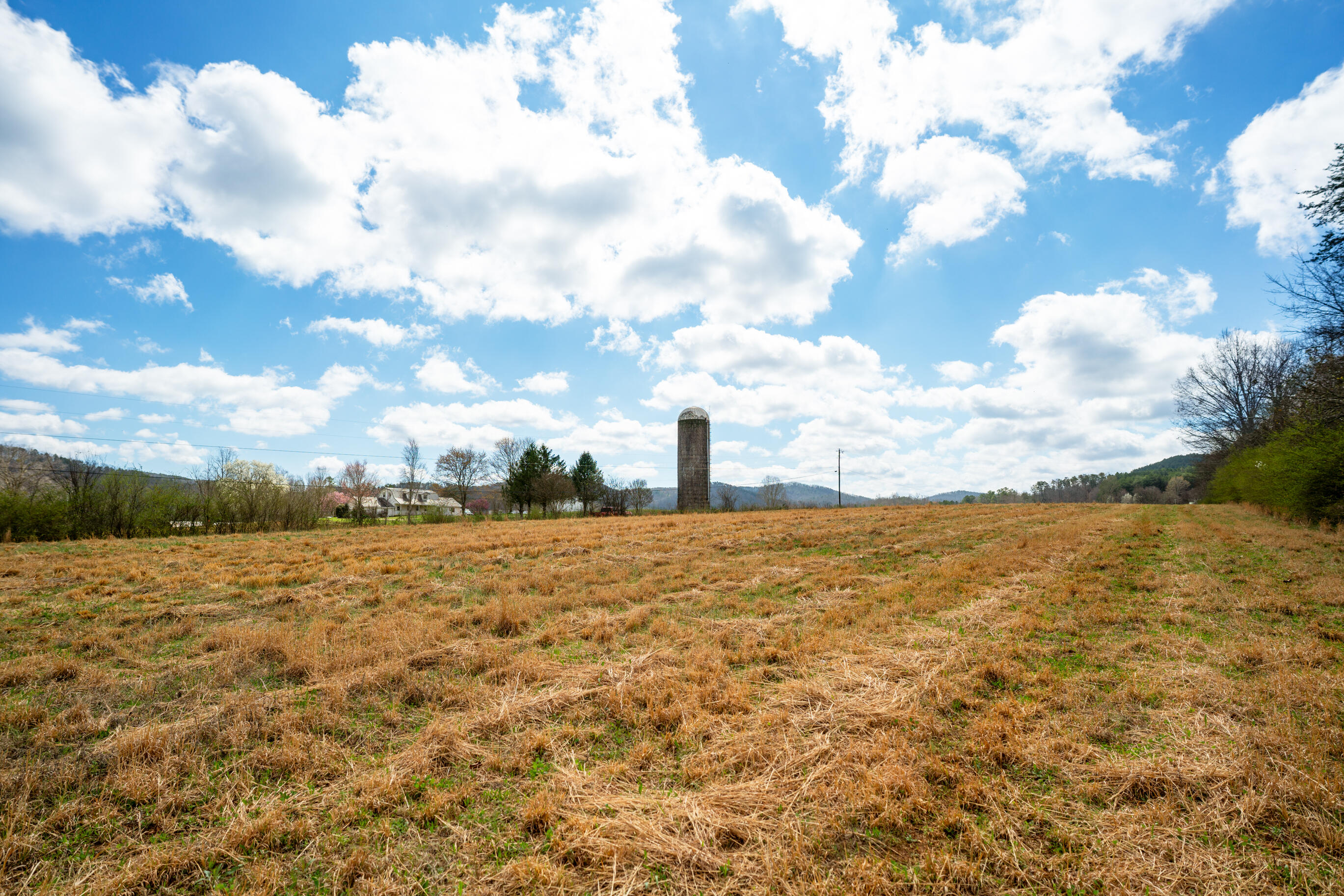 1321 Sand Mountain Road