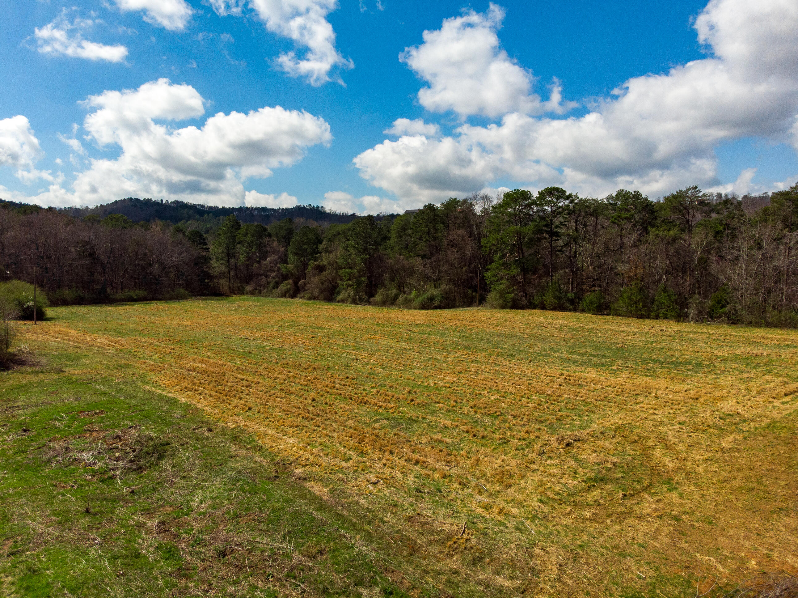 1321 Sand Mountain Road