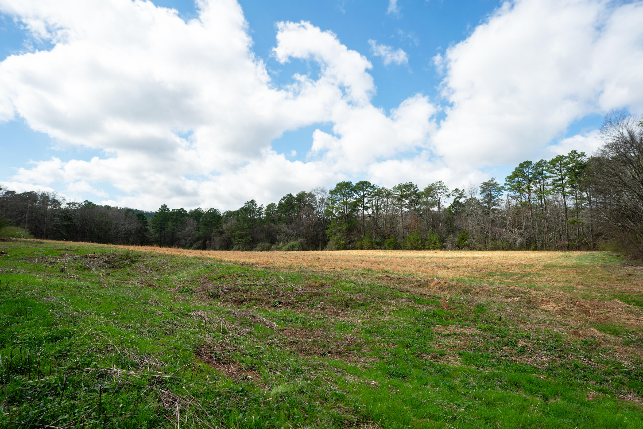 1321 Sand Mountain Road