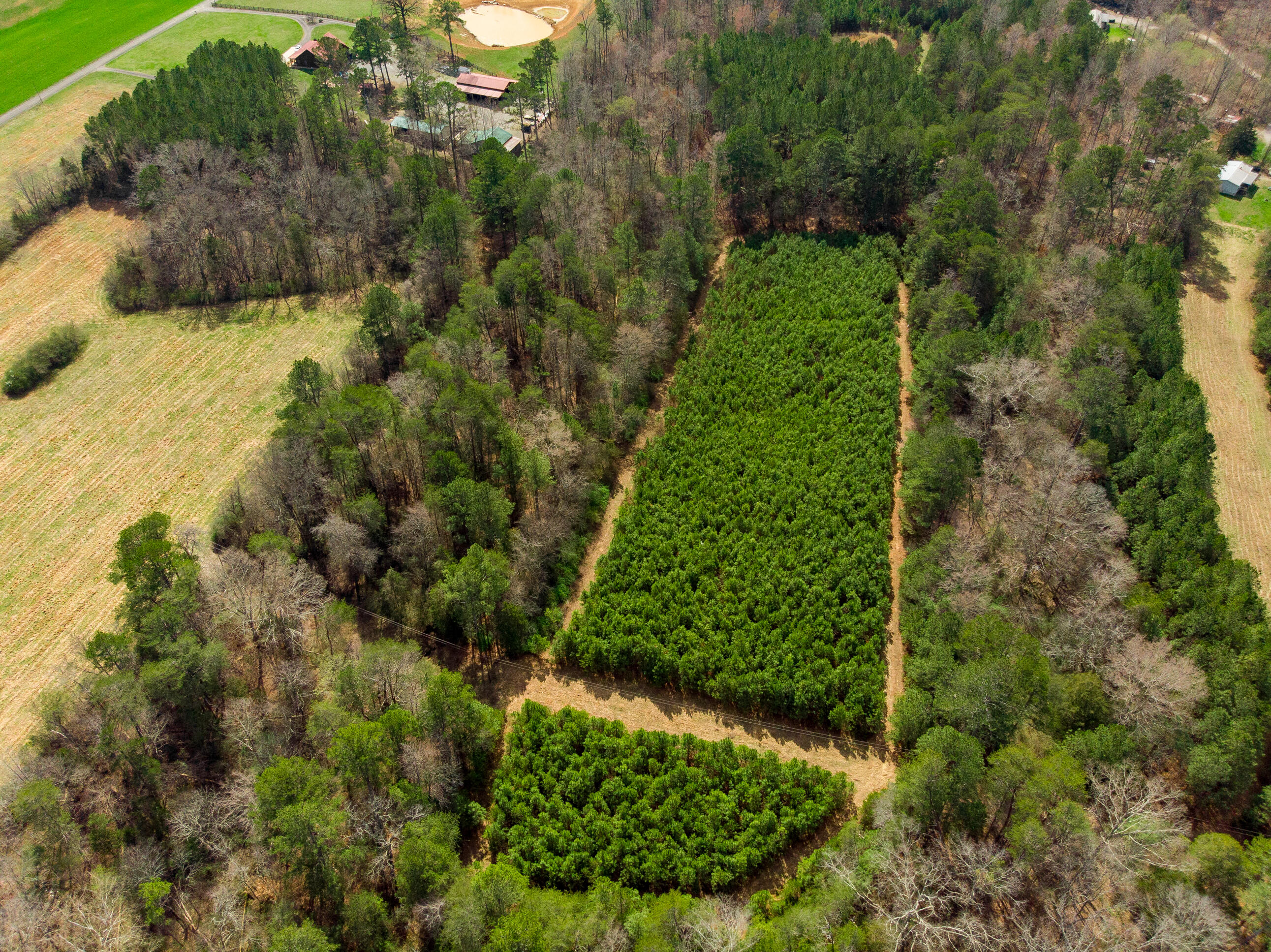 1321 Sand Mountain Road