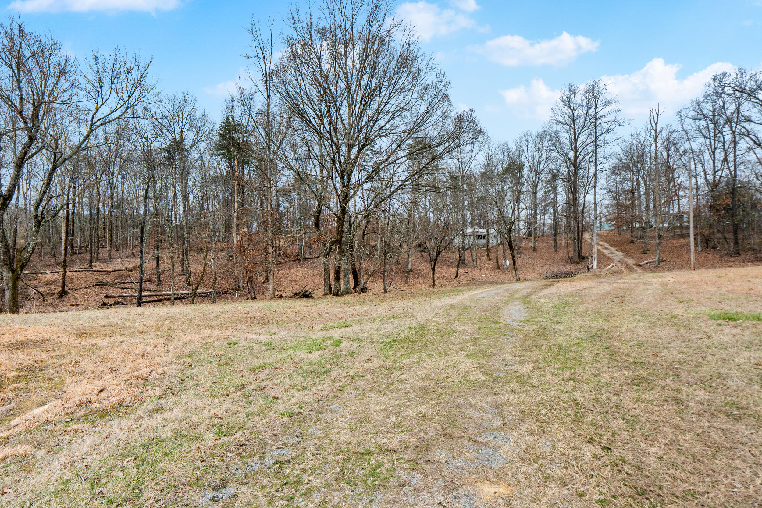 1475 Patton School Road